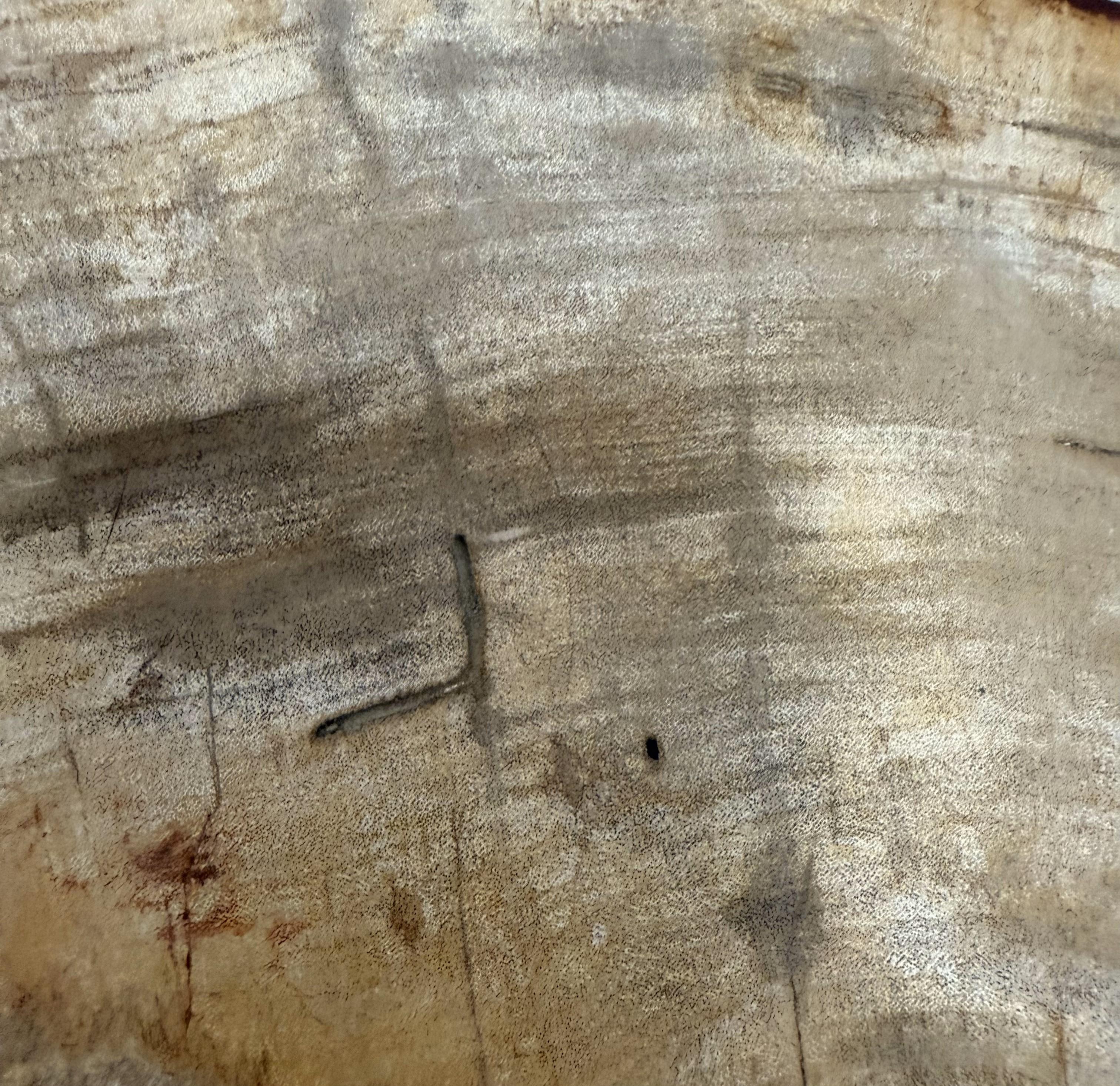 Small Indonesian Petrified Wood Slab For Sale 3