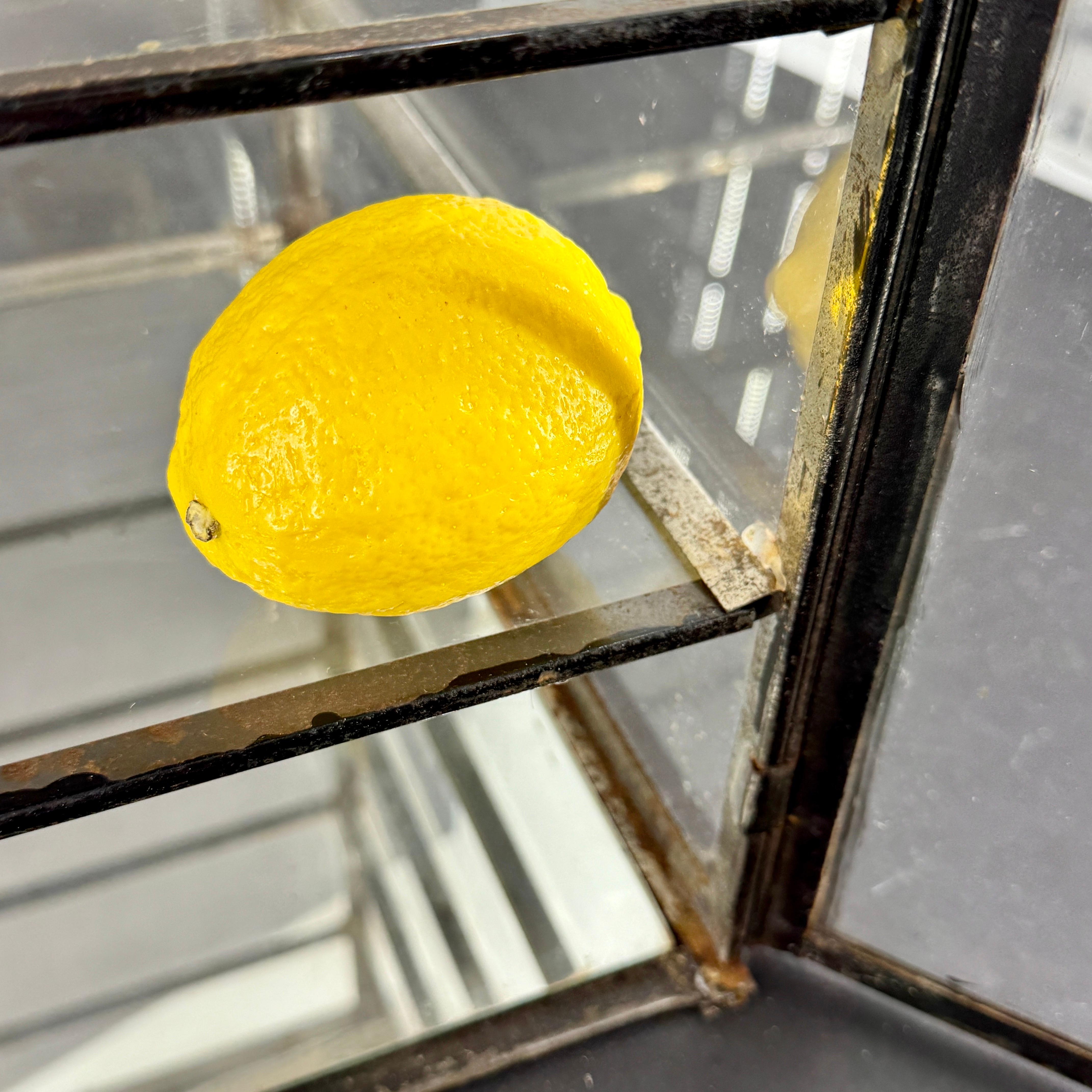 Kleine industrielle schwarz lackiert Tabelle Glas Vitrine Vitrine 9