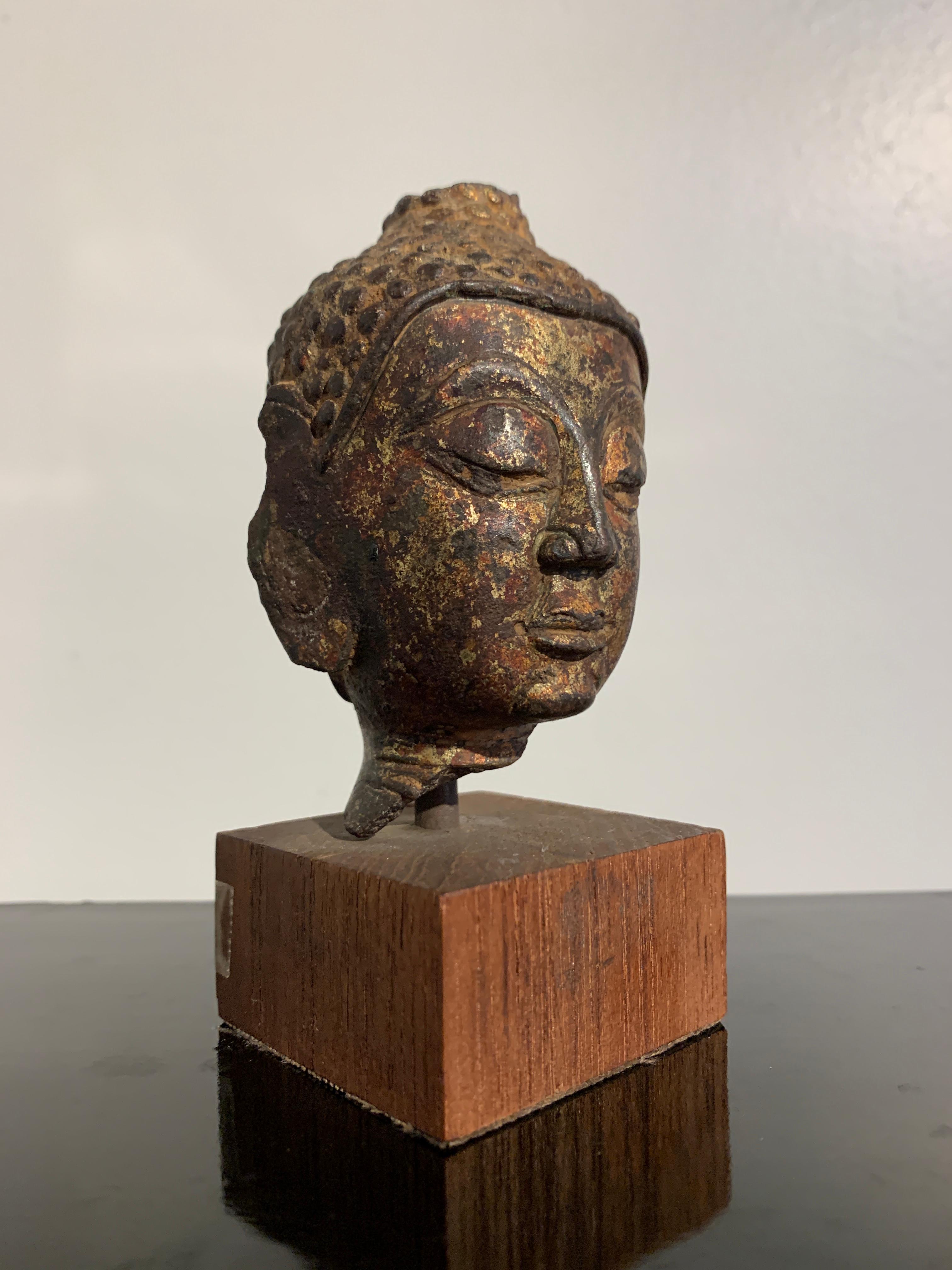 A fine fragmentary gilt bronze head of the Buddha, Lan Na Kingdom, Chiang Saen style, 15th-16th century, Northern Thailand. 

The small head with well cast and defined features, including the wide, prominent nose, two large, almond shaped eyes