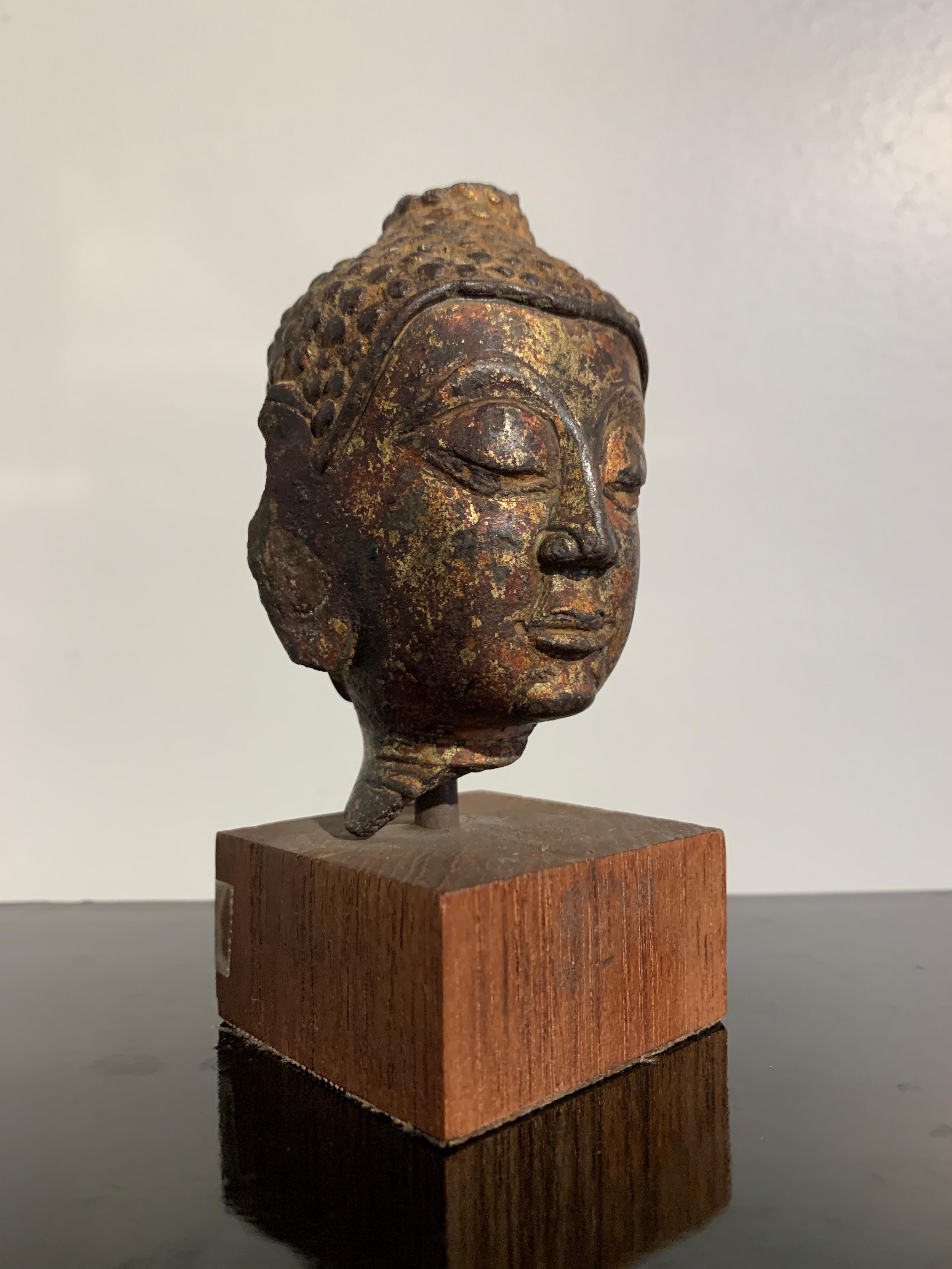 Ein feines Fragment eines vergoldeten Bronzekopfes des Buddha, Lan Na Königreich, Chiang Saen Stil, 15. bis 16. Jahrhundert, Nordthailand. 

Der kleine Kopf mit den gut ausgeprägten Zügen, einschließlich der breiten, markanten Nase, den zwei