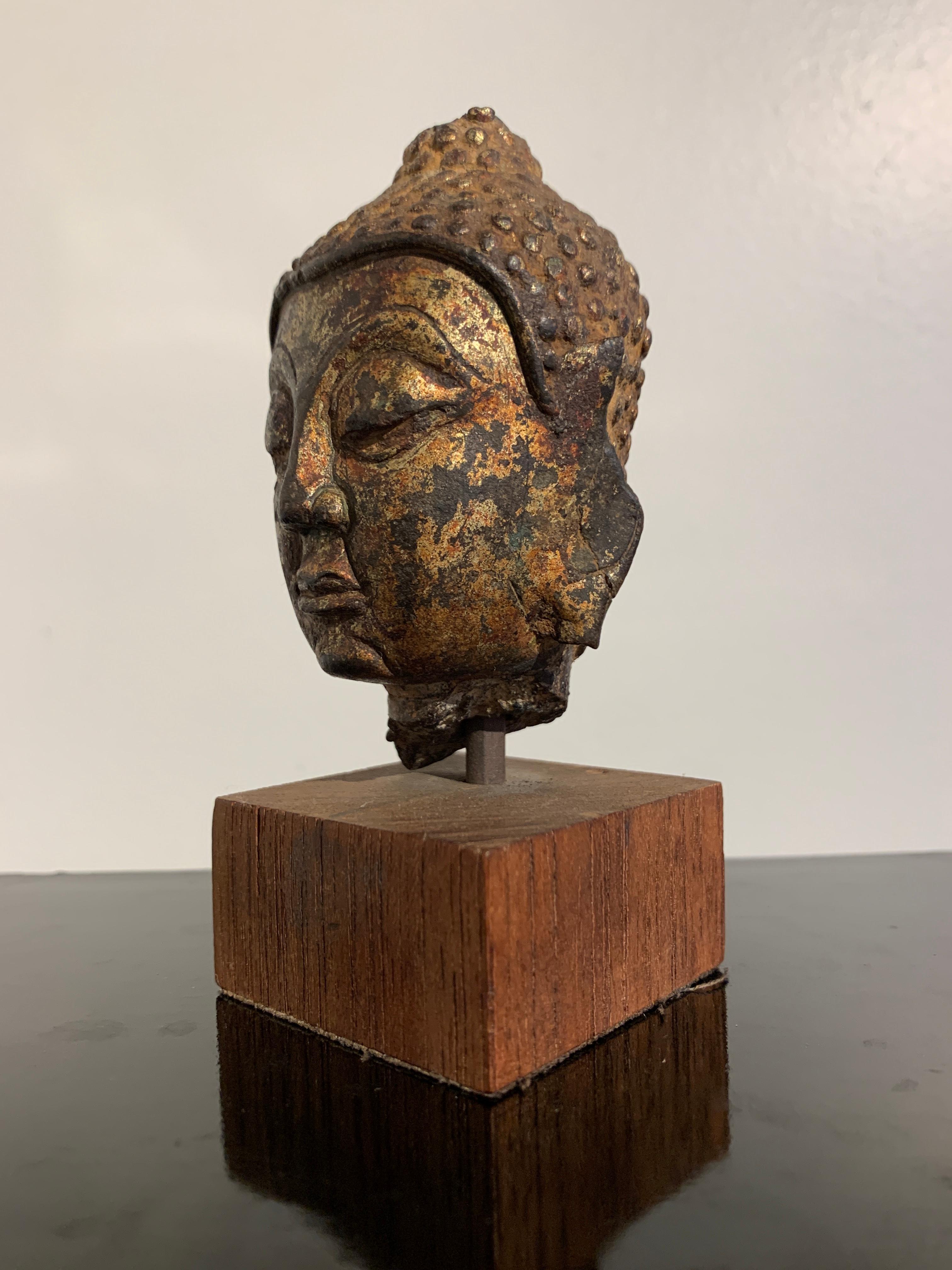Cast Small Lan Na Gilt Bronze Buddha Head, 15th-16th Century, Thailand For Sale