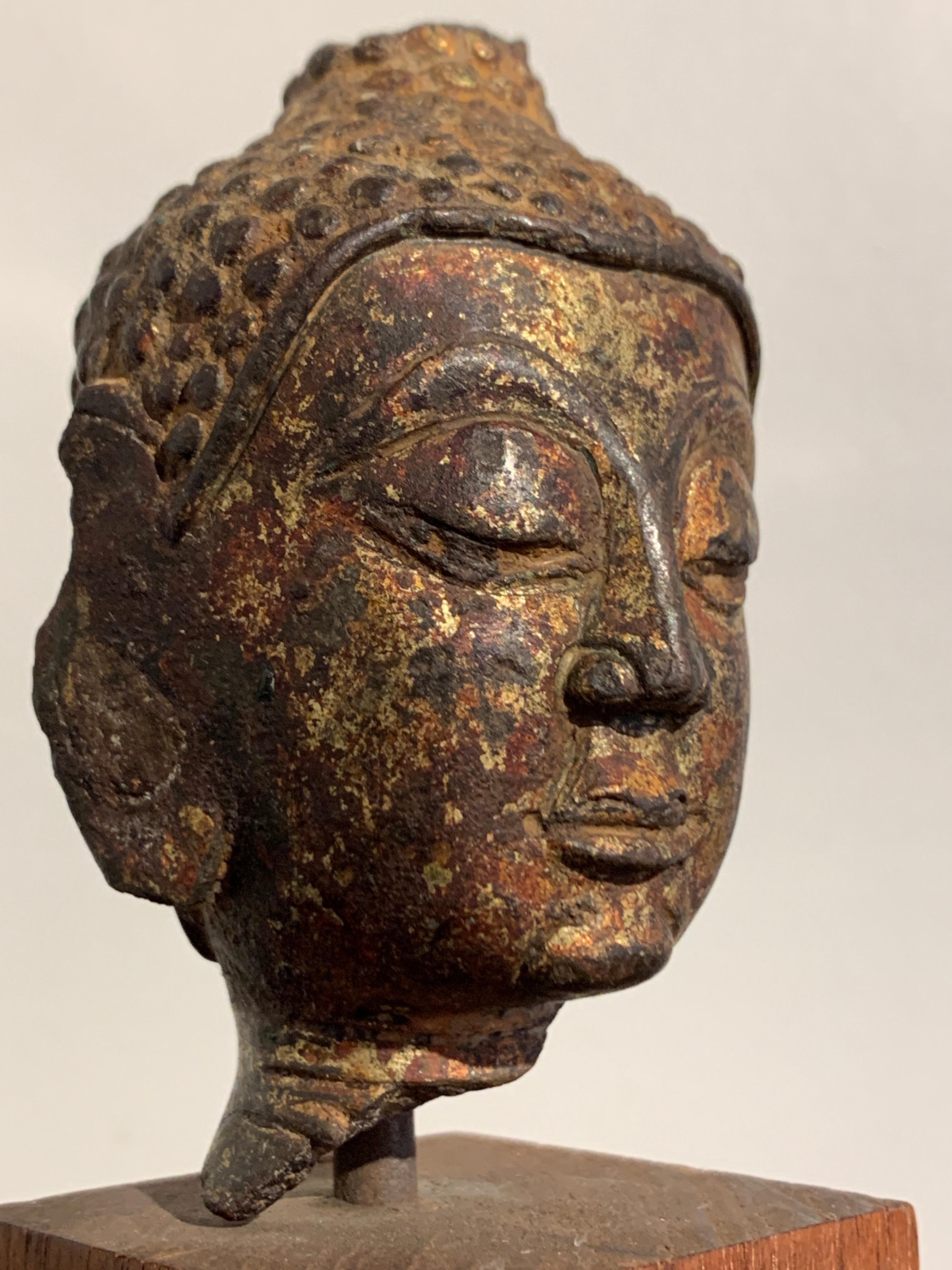 Buddha-Kopf aus vergoldeter Bronze von Lan Na, 15.-16. Jahrhundert, Thailand 2