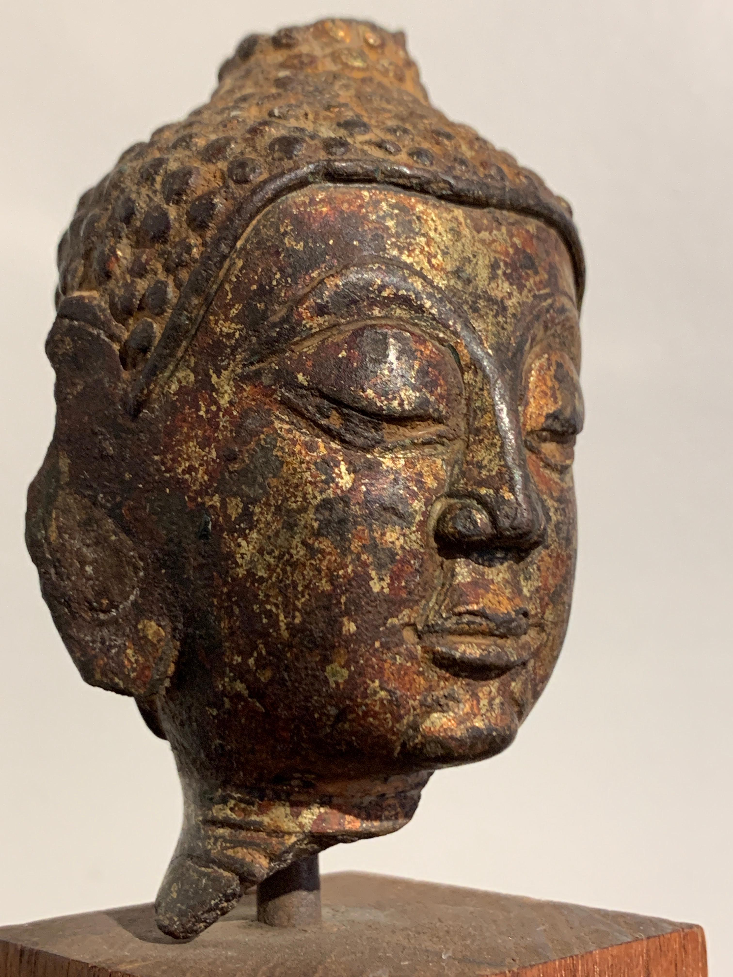 18th Century and Earlier Small Lan Na Gilt Bronze Buddha Head, 15th-16th Century, Thailand For Sale