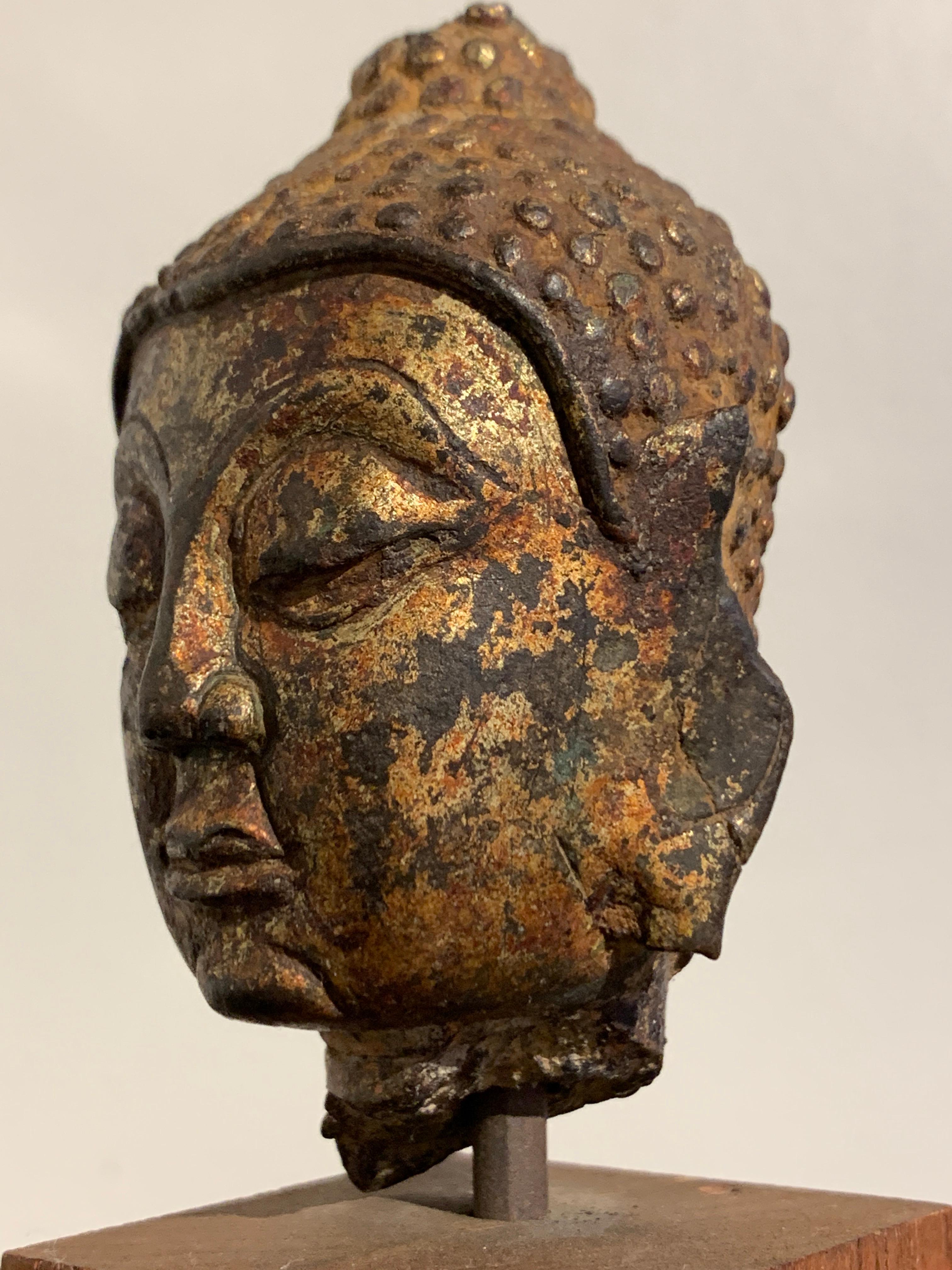 Small Lan Na Gilt Bronze Buddha Head, 15th-16th Century, Thailand For Sale 1