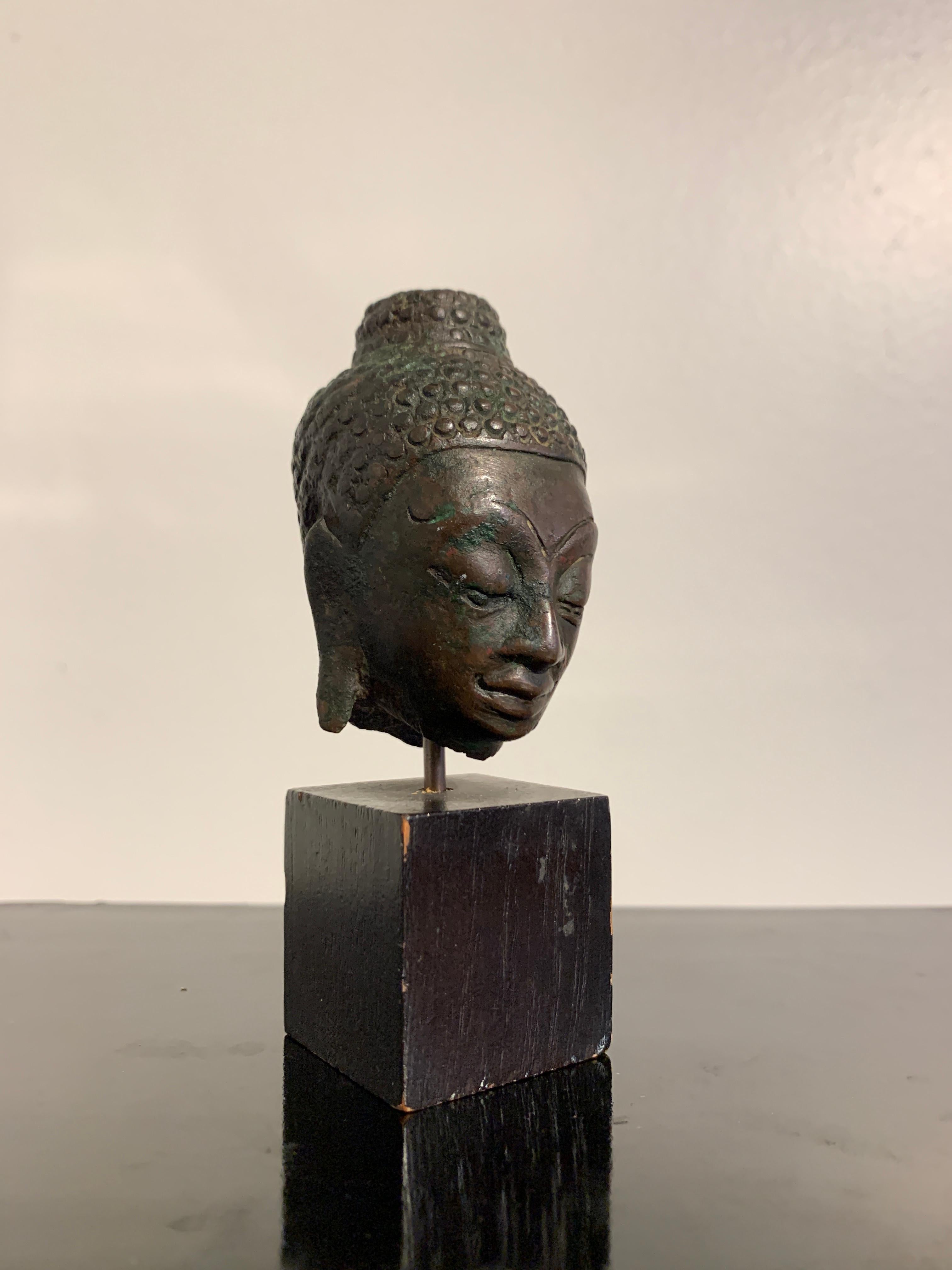 Kleines, süßes Fragment eines Buddha-Kopfes aus Bronzeguss, Königreich Lan Xang, 17. Jahrhundert, Laos. 

Der kleine Buddha-Kopf ist fein gegossen und hat gut ausgeprägte Gesichtszüge. Das Gesicht mit dem für Lan Xang-Figuren typischen, etwas