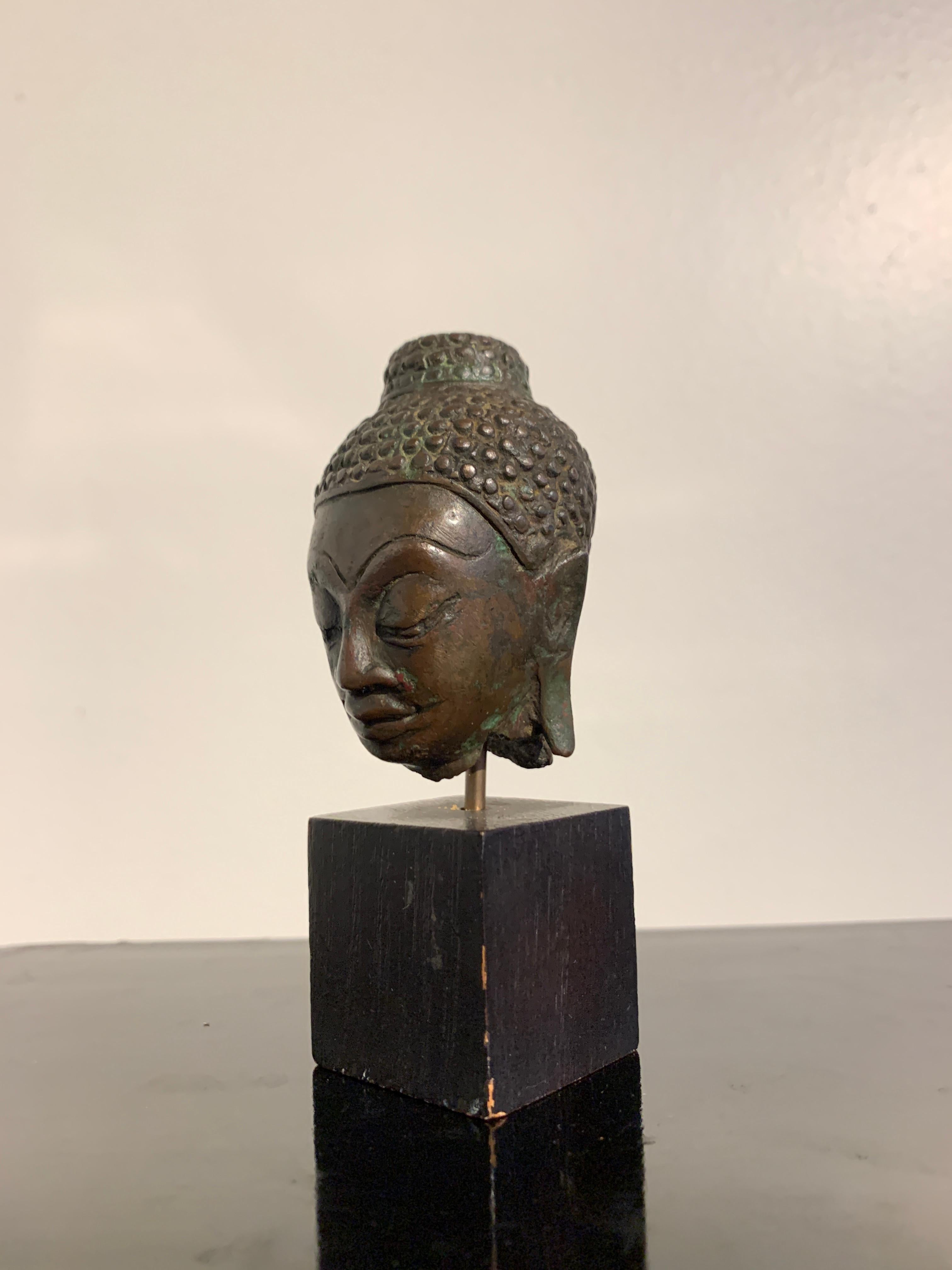 Lao Lan Xang Bronze-Buddha-Kopf aus dem 17. Jahrhundert, Laos (18. Jahrhundert und früher) im Angebot