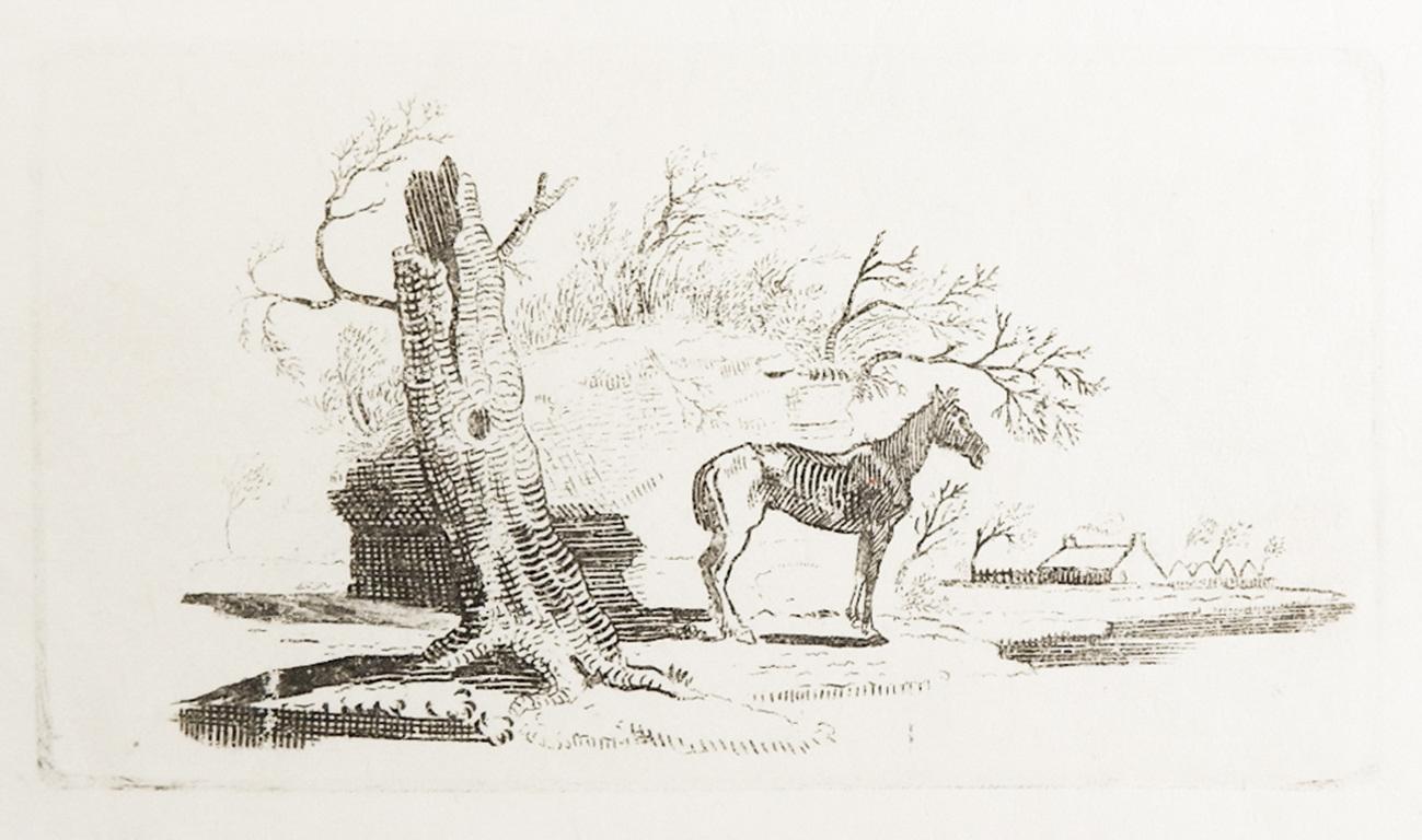 George III Petite gravure sur bois de Thomas Thomas, fin du 18e siècle, représentant un vieux cheval en vente