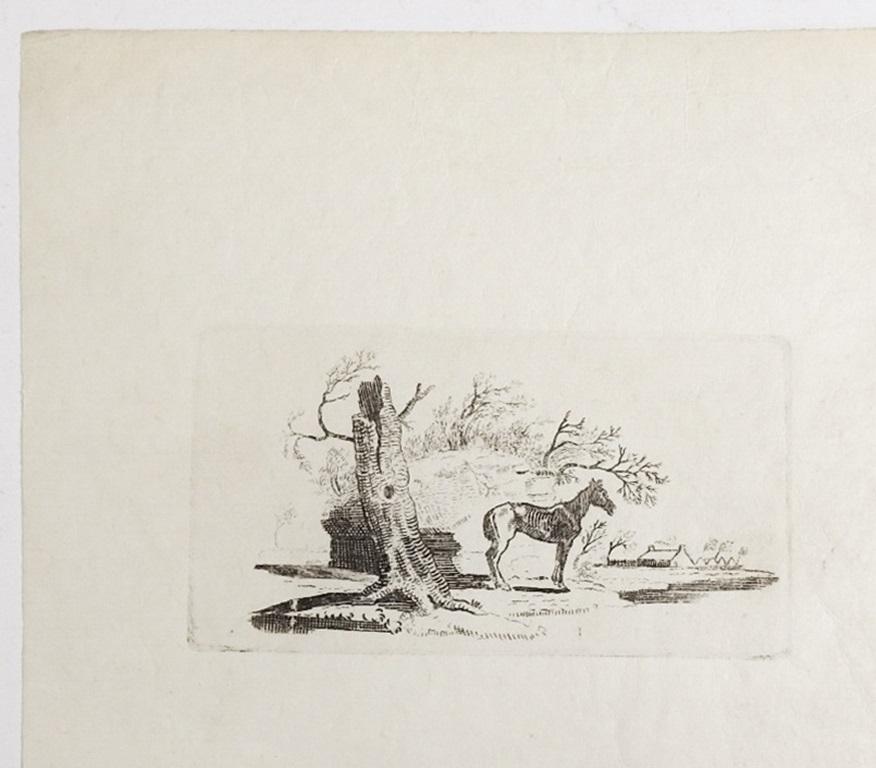 English Small Late 18th Century Thomas Bewick Woodcut of Old Horse For Sale