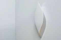 Small Leska Stainless Steel Wall Mirror by Zieta