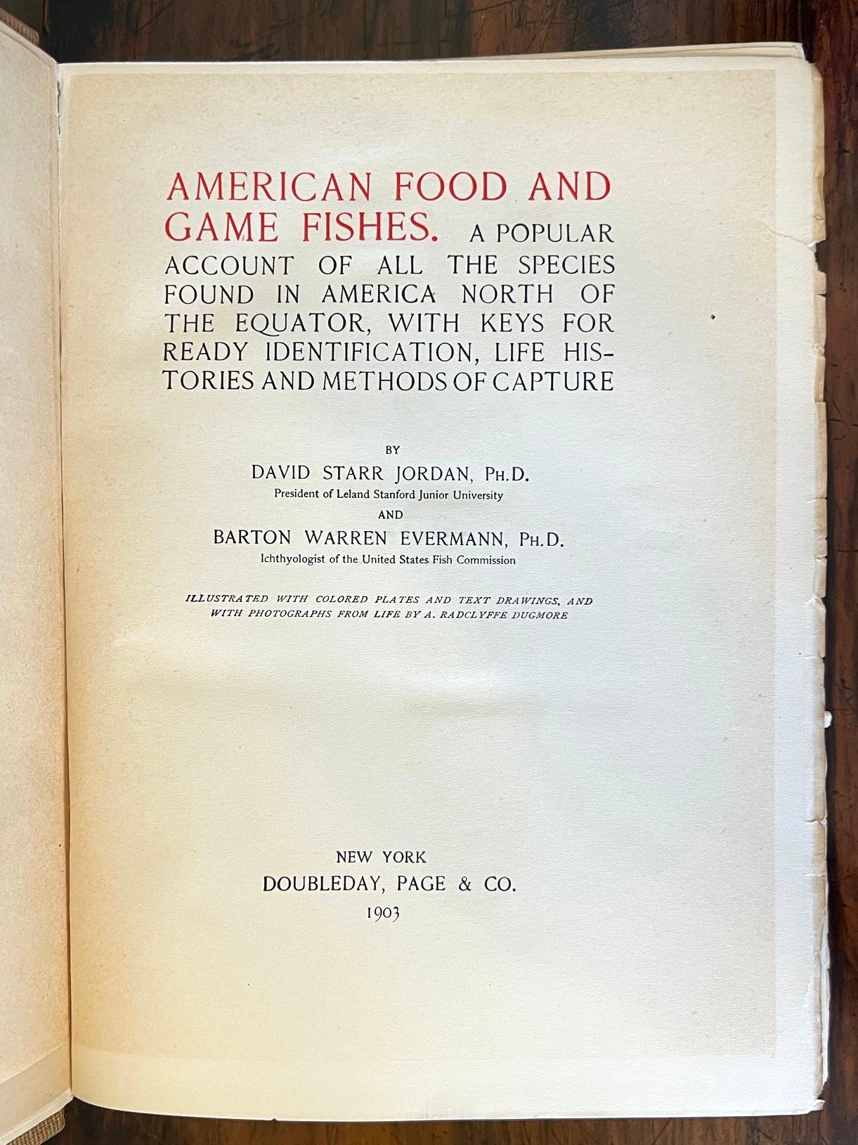 Small Library of Ten Volumes of Vintage Fishing Books Largely First Editions For Sale 8