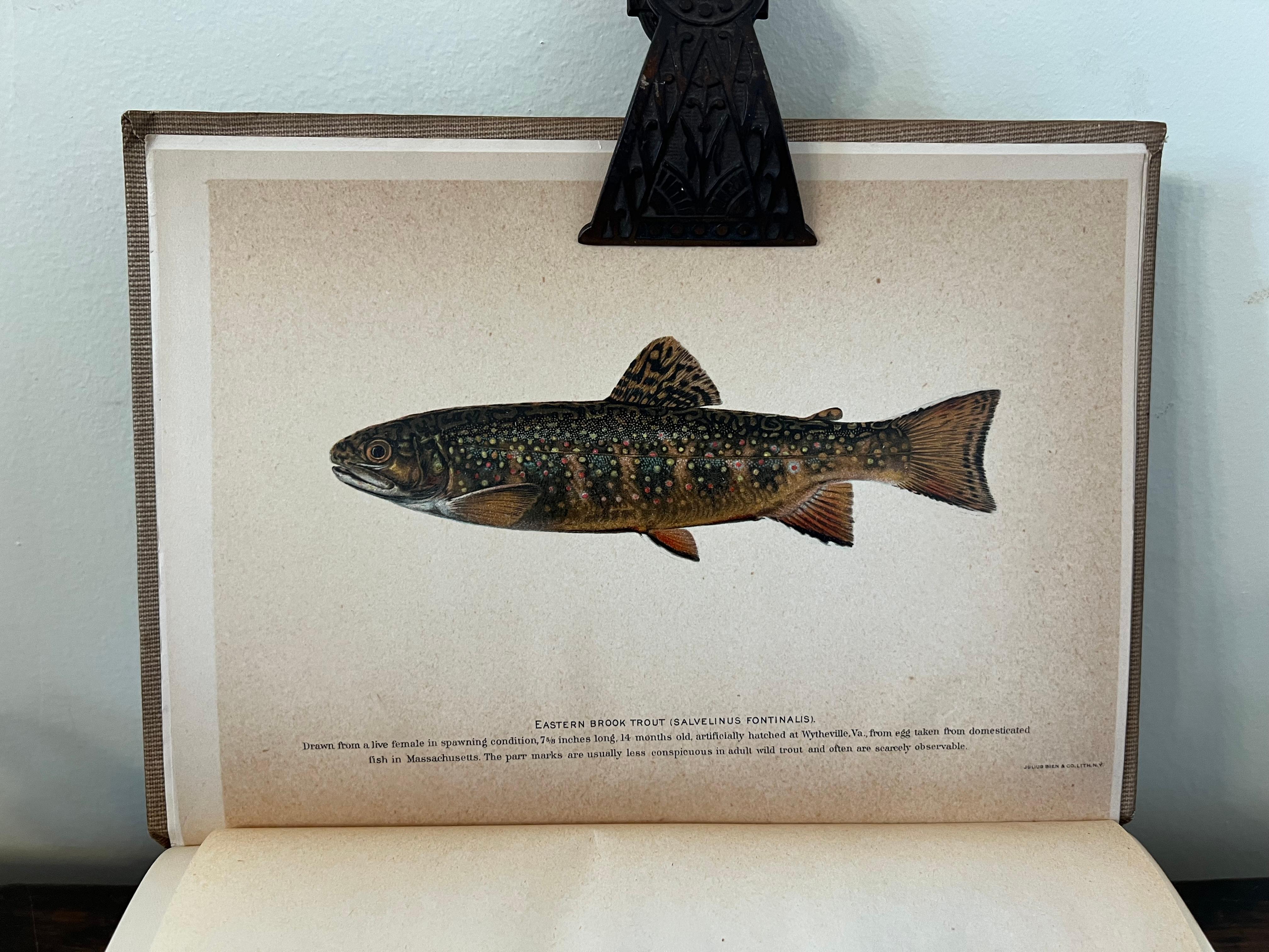 Small Library of Ten Volumes of Vintage Fishing Books Largely First Editions For Sale 9