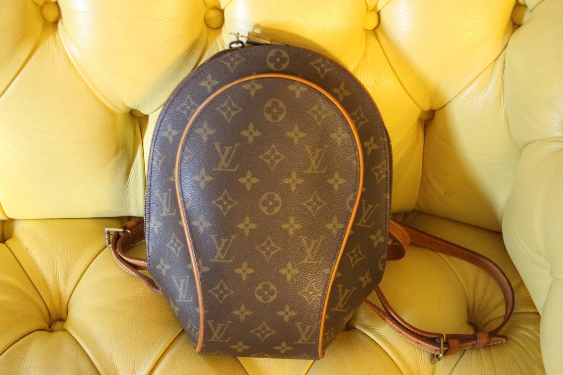 French Small Louis Vuitton Backpack Monogramm Bag