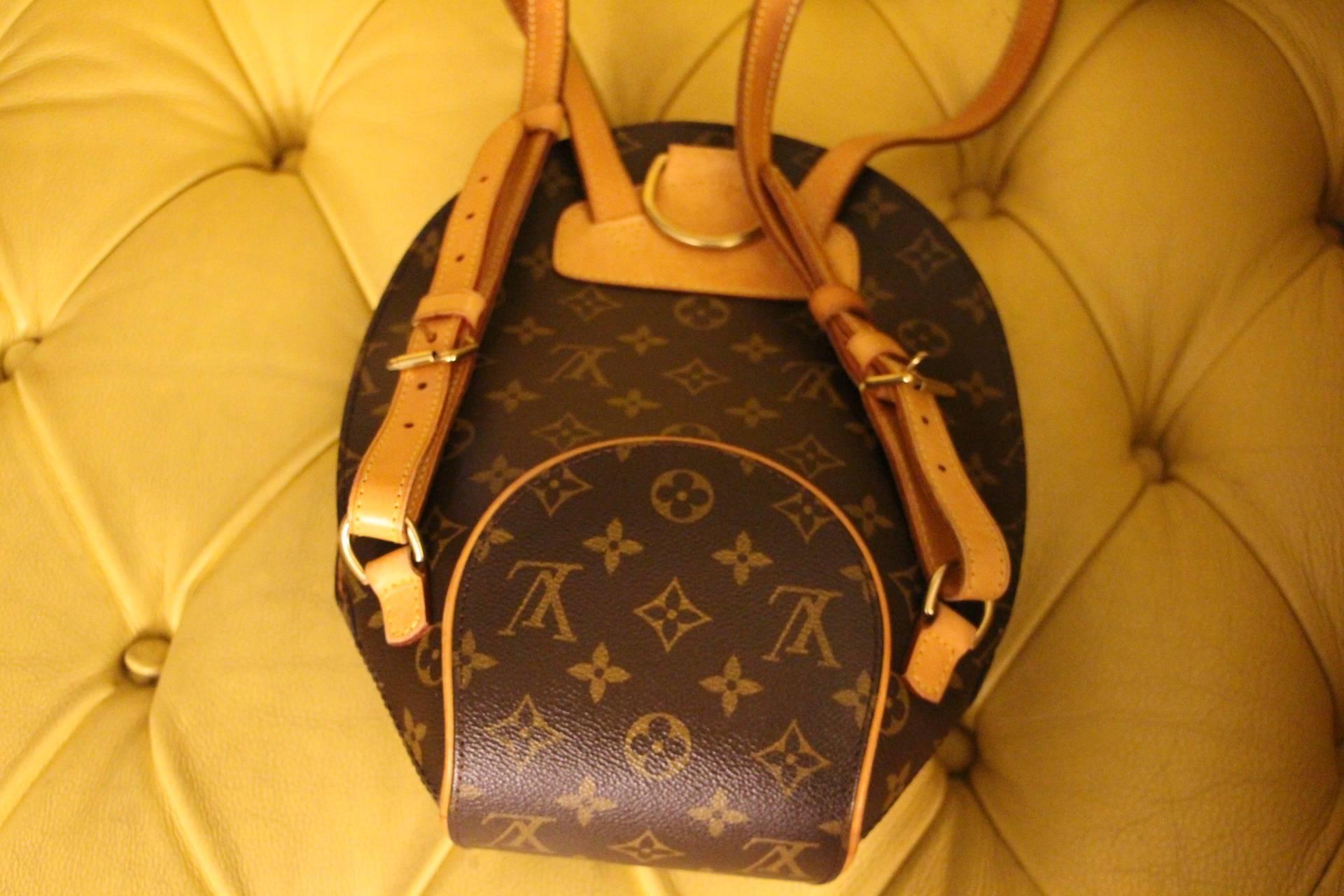 French Small Louis Vuitton Backpack Monogramm Bag