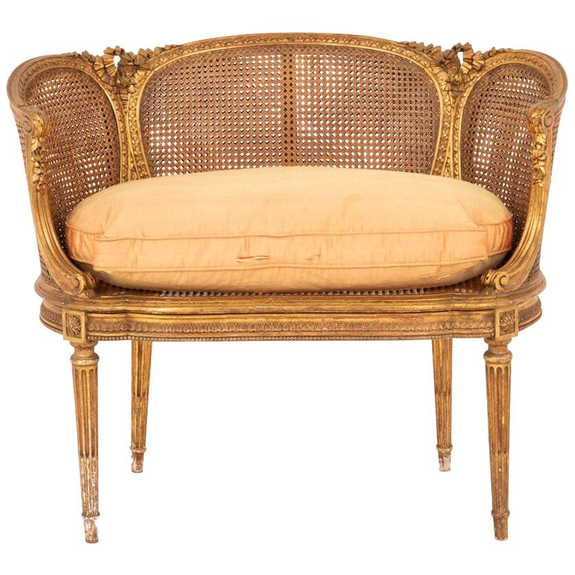 Small Louis XVI Style Cane Sofa in Giltwood, circa 1880