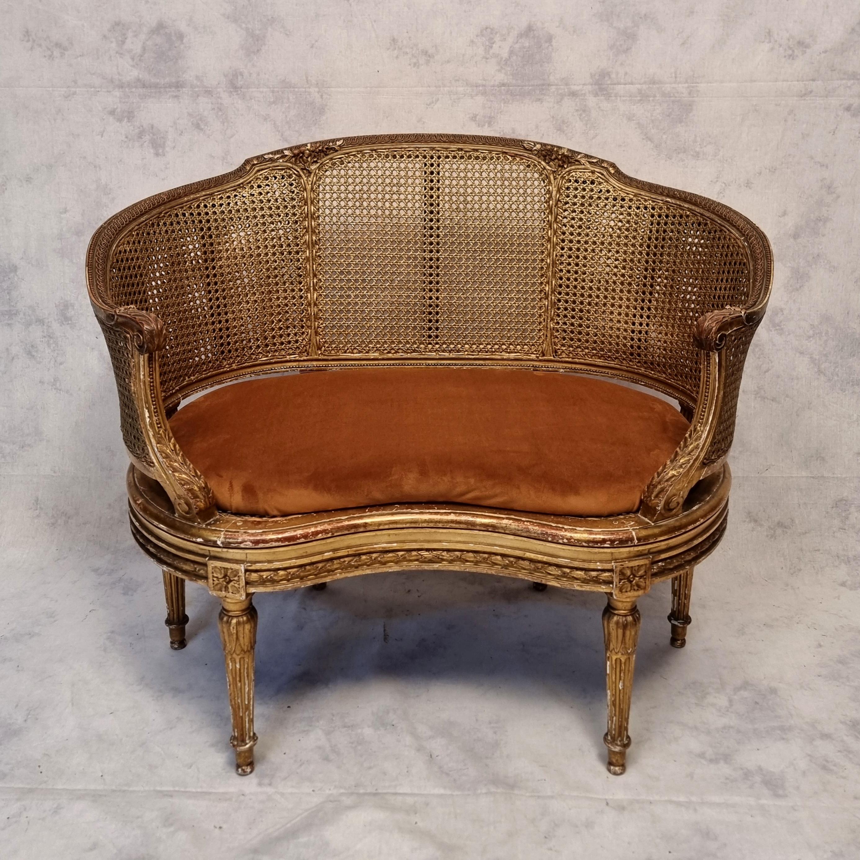19th Century Small Louis XVI Style Sofa - Caning & Golden Wood - 19th