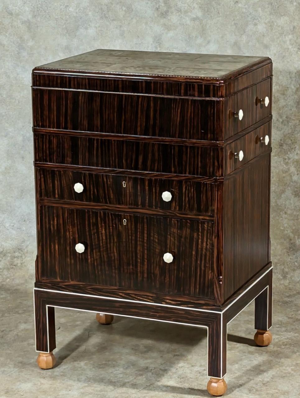 French Small Macassar Ebony cabinet in the style of DIM For Sale