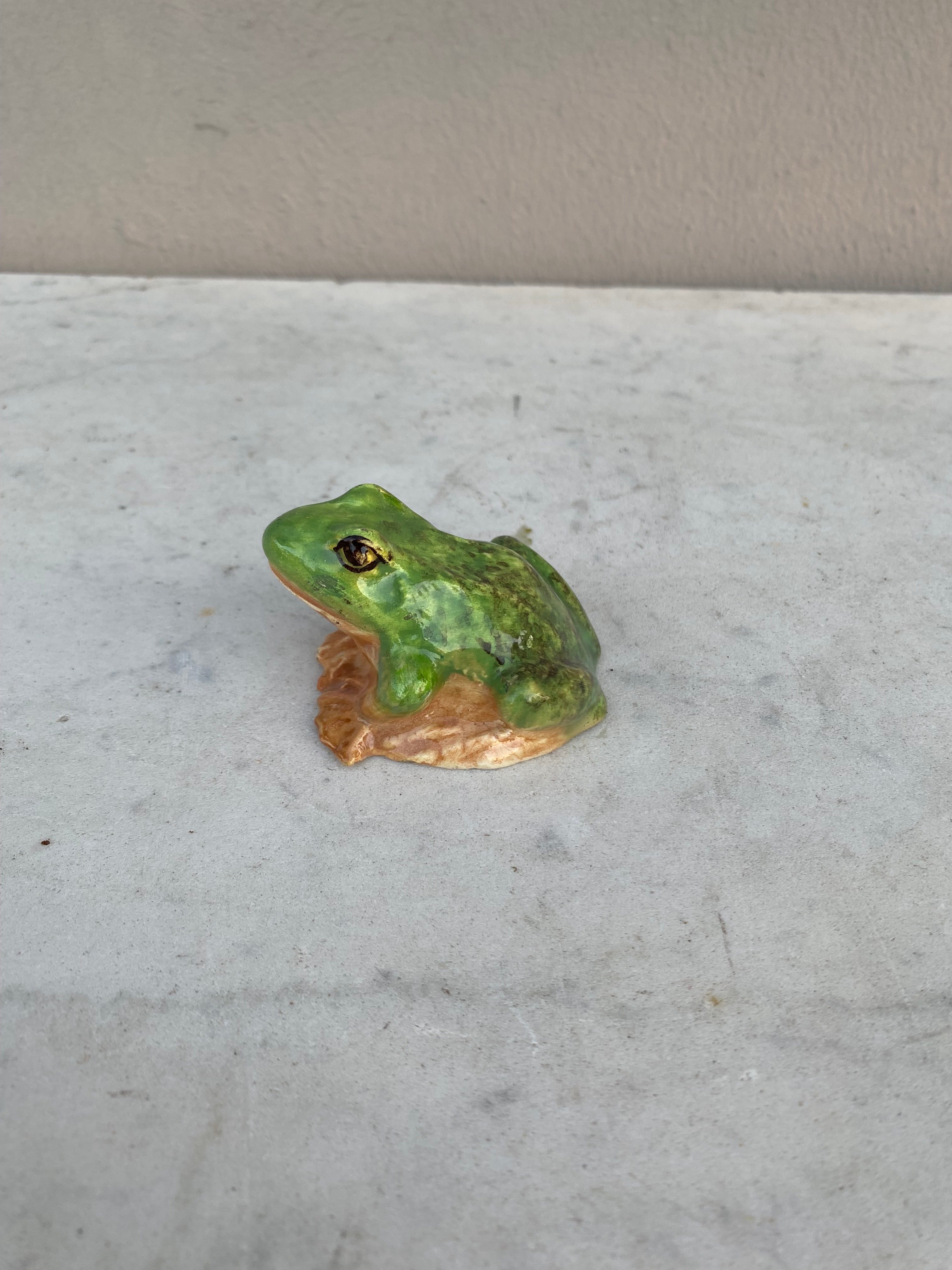 Small Rare Majolica frog Jerome Massier, circa 1900.
Reference / Page 118,119 