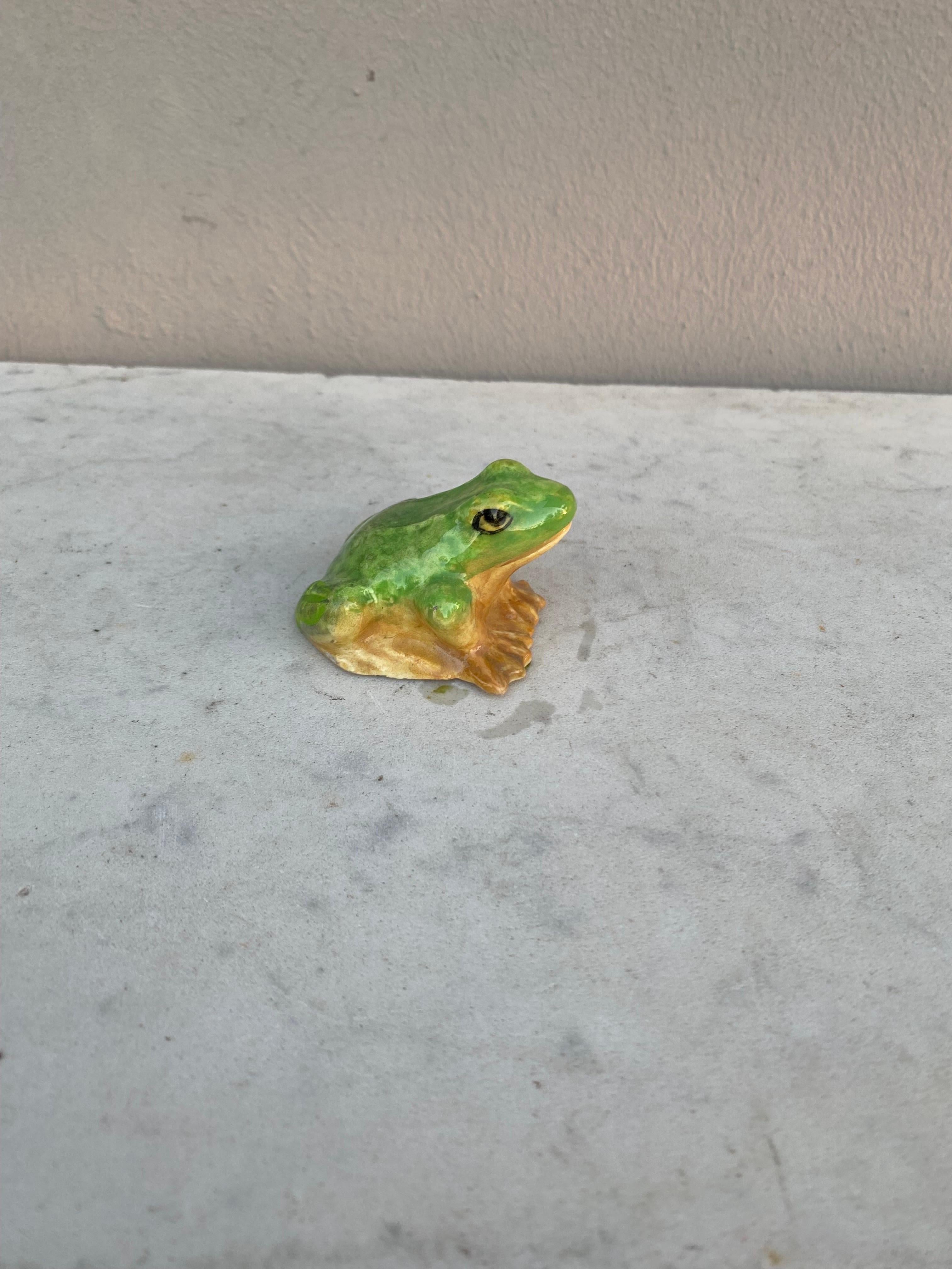 jerome the frog
