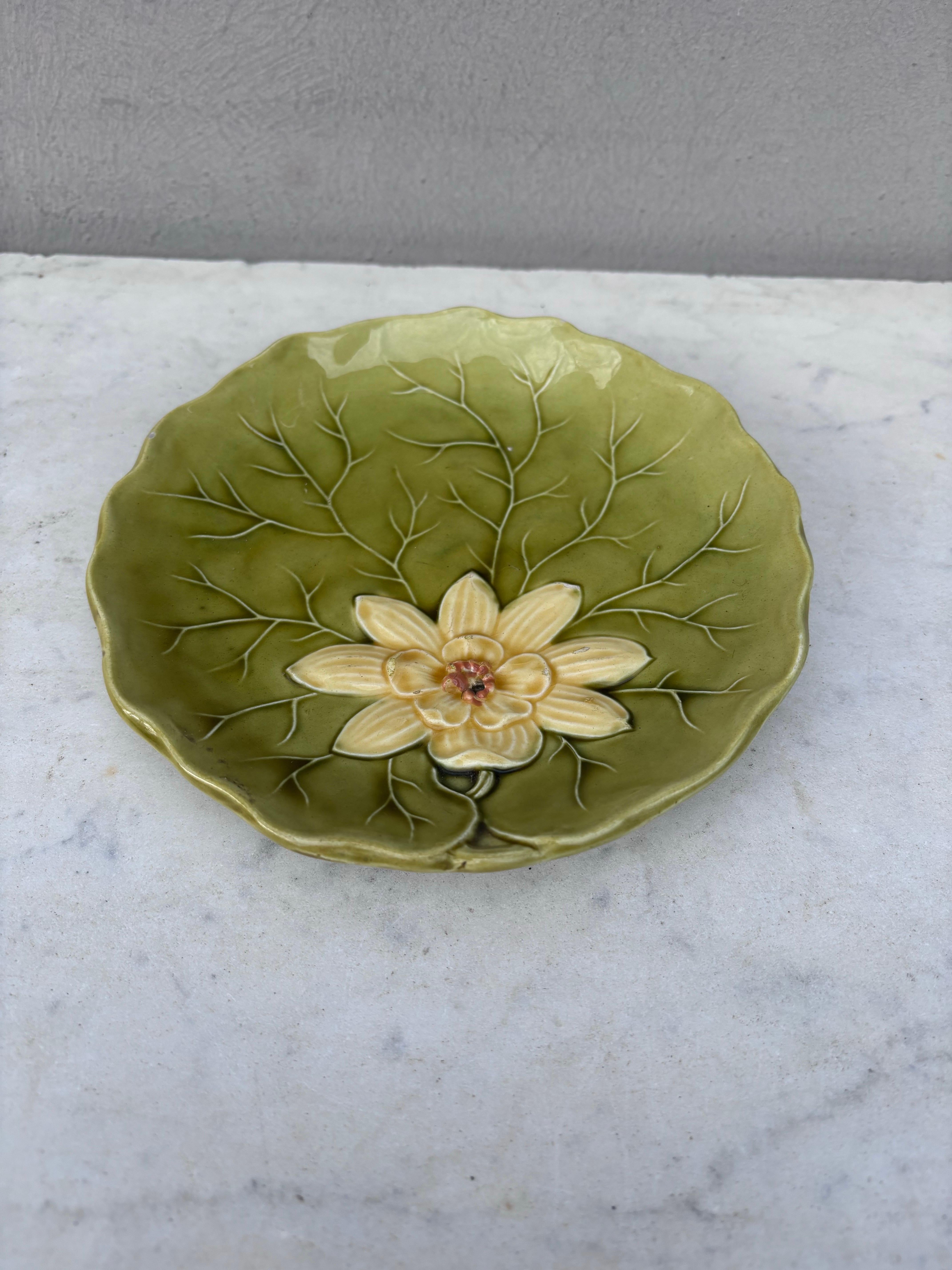 Piccolo piatto in maiolica con ninfea Villeroy & Boch, circa 1900.
Diametro 6,5 pollici.
  