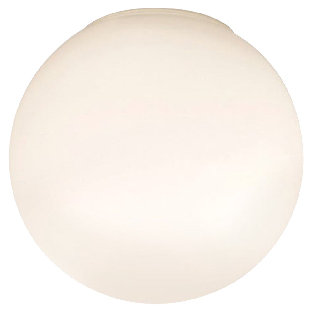 Small Michele De Lucchi 'Dioscuri 14' Wall or Ceiling Light for Artemide
