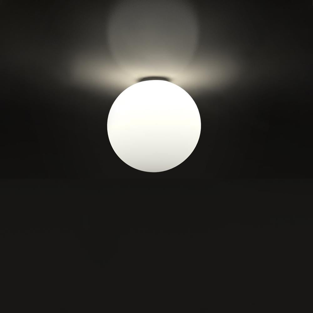 Small Michele De Lucchi 'Dioscuri 14' Wall or Ceiling Light for Artemide For Sale 6