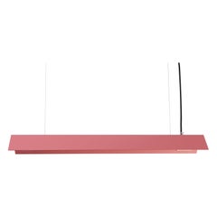 Small Misalliance Ral Antique Pink Suspended Light by Lexavala