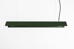 Small Misalliance Ral Bottle Green Suspended Light by Lexavala