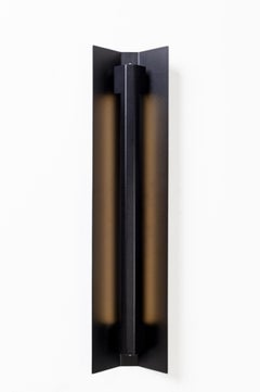 Small Misalliance Ral Jet Black Wall Light by Lexavala