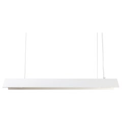 Small Misalliance Ral Pure White Suspended Light by Lexavala