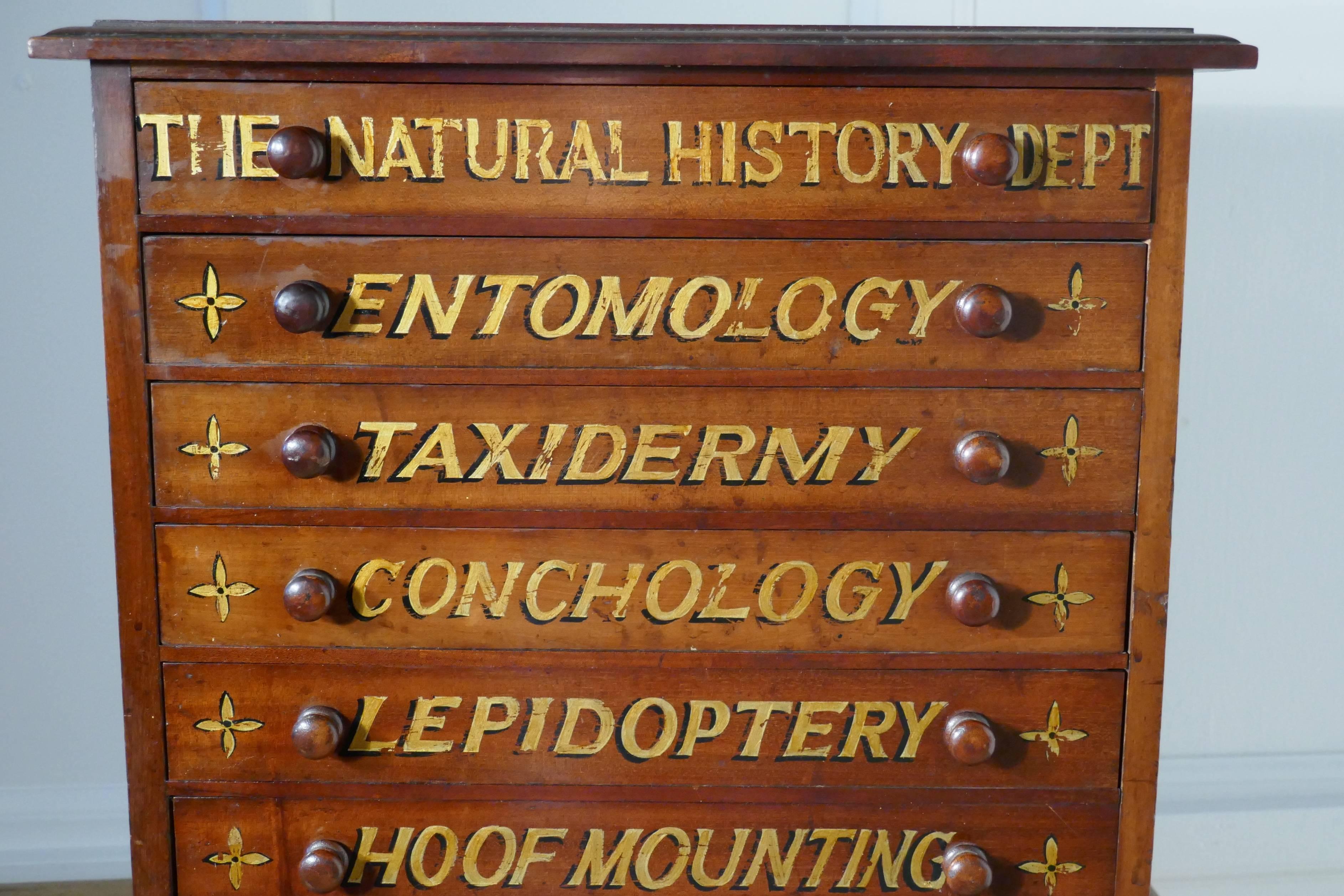 Small museum filing cabinet, Natural History collectors cabinet

This small cabinet has eight drawers on the front of each drawer is a description of the contents, the cabinet comes from the Natural History Dept, James Hunt, 32 High Holborn,