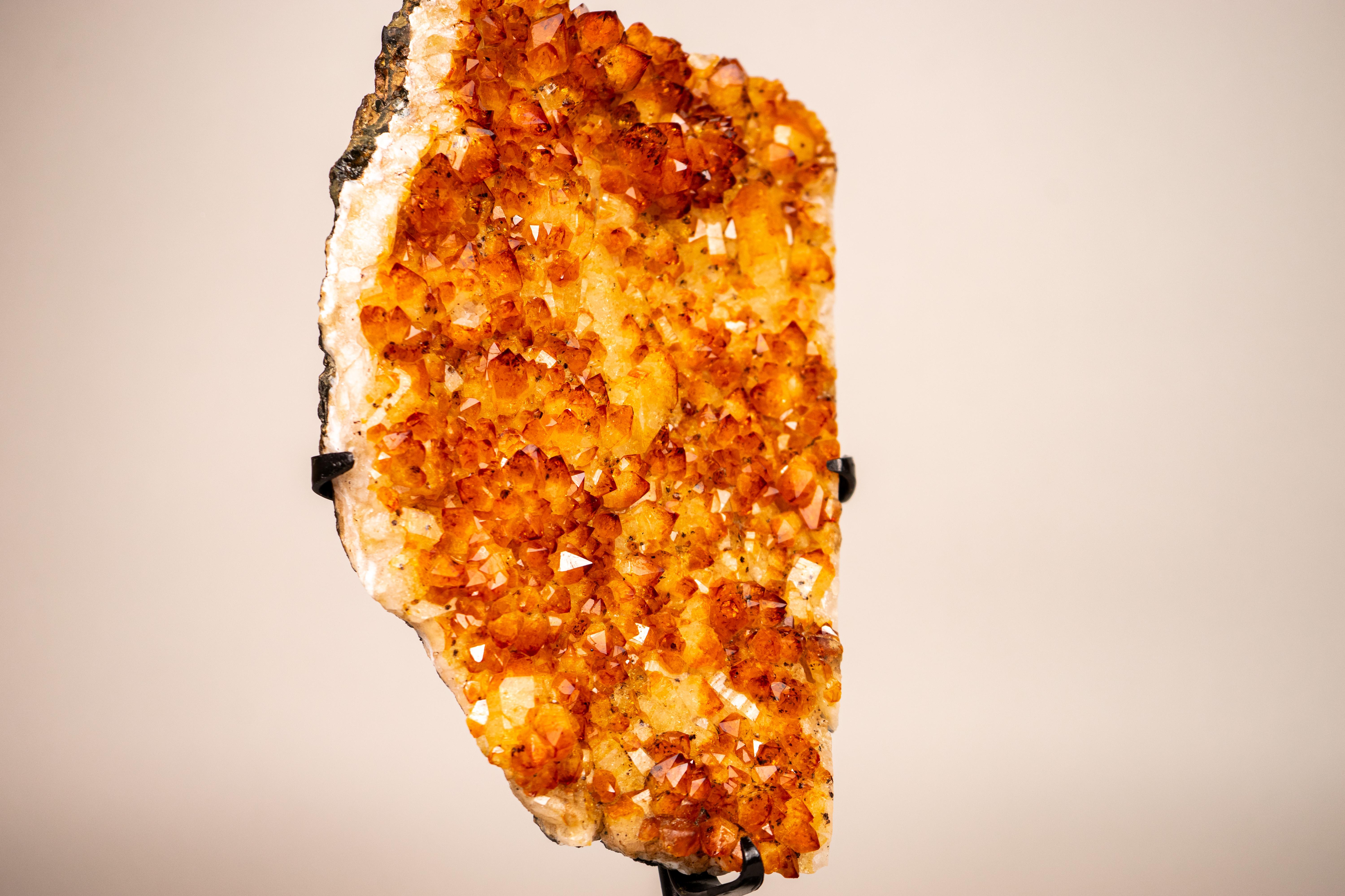 Small Citrine Cluster with Shiny Golden Orange Citrine Druzy, Perfect for Desk Decor

▫️ Description

With its beautiful formations, radiant Golden Orange Citrine color, and wonderful aesthetics, this Citrine Specimen is the perfect addition to your