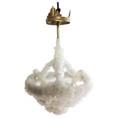 Petit lustre en cristal unique envahi par la végétation:: Mark Sturkenboom