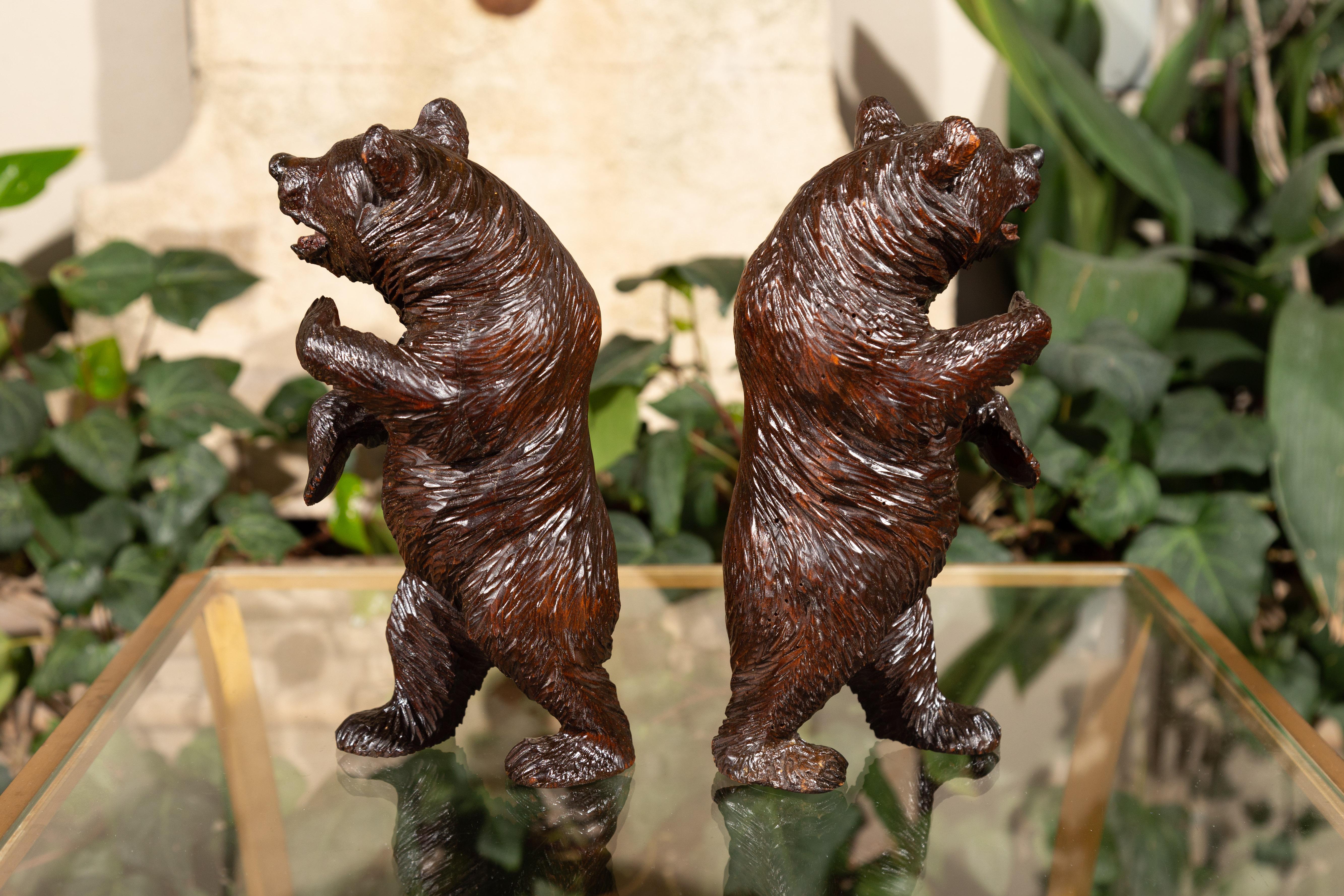 Small Pair of Black Forest Carved Wooden Bears in Standing Position, circa 1900 2