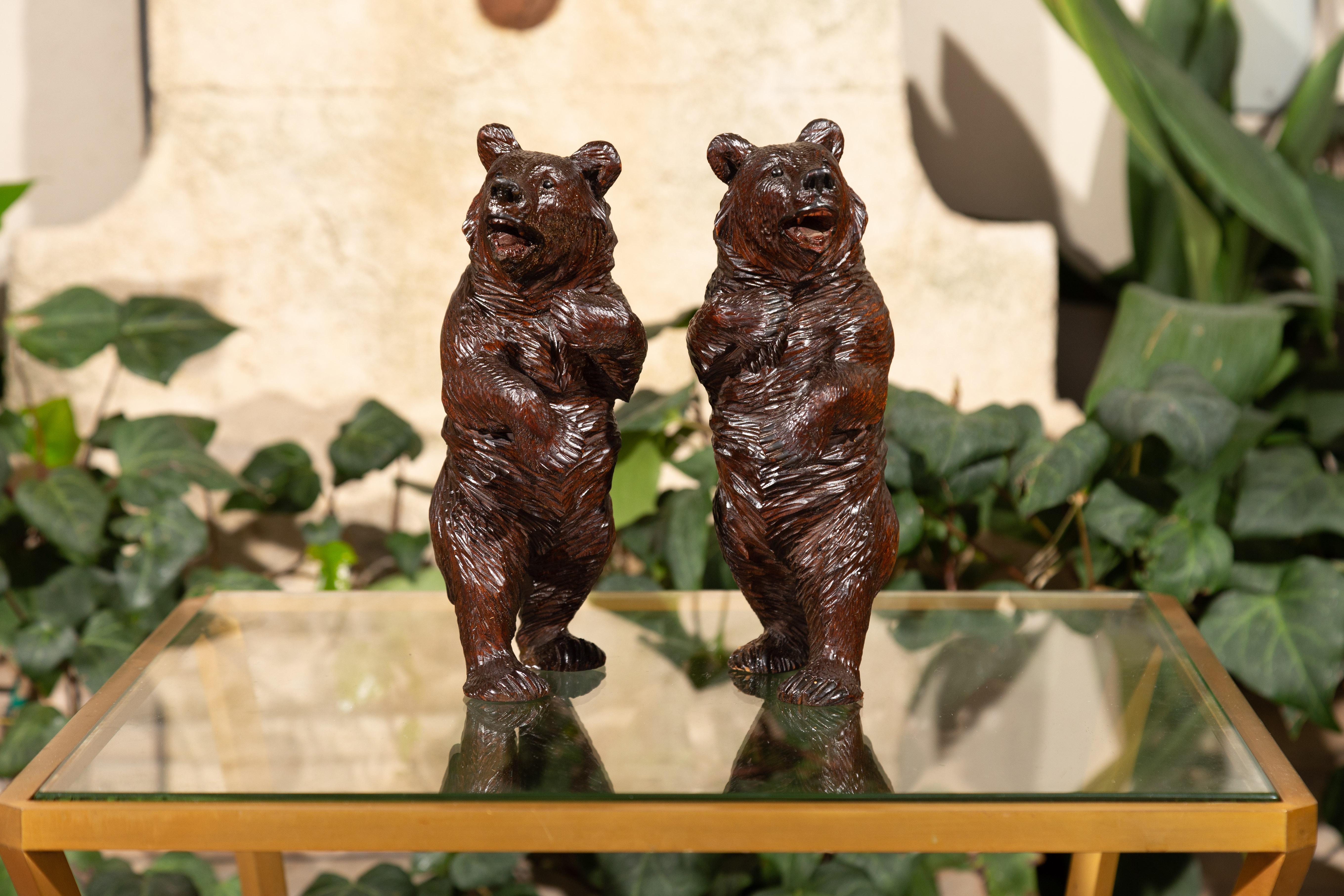 Small Pair of Black Forest Carved Wooden Bears in Standing Position, circa 1900 (Europäisch)