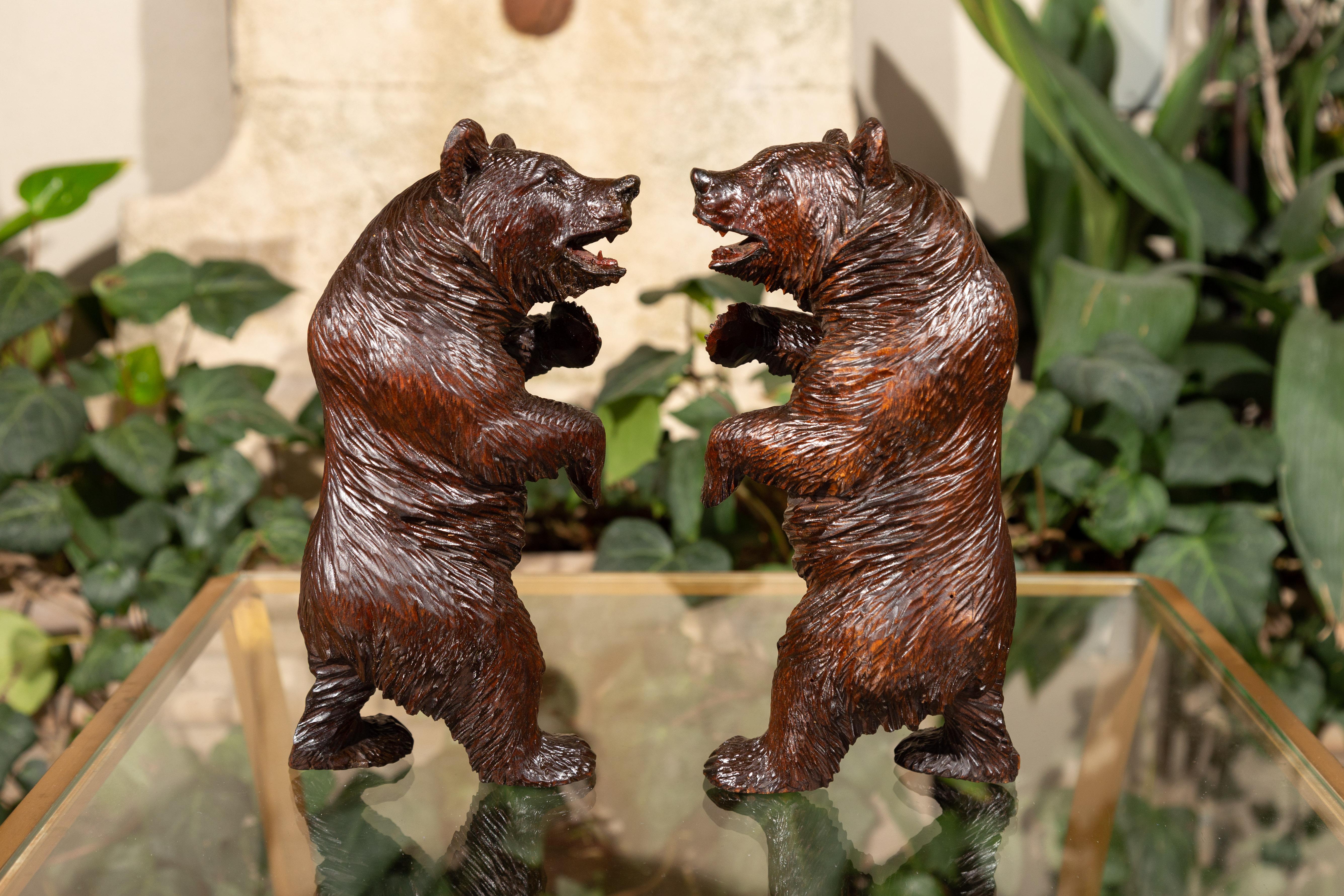 Small Pair of Black Forest Carved Wooden Bears in Standing Position, circa 1900 (Holz)