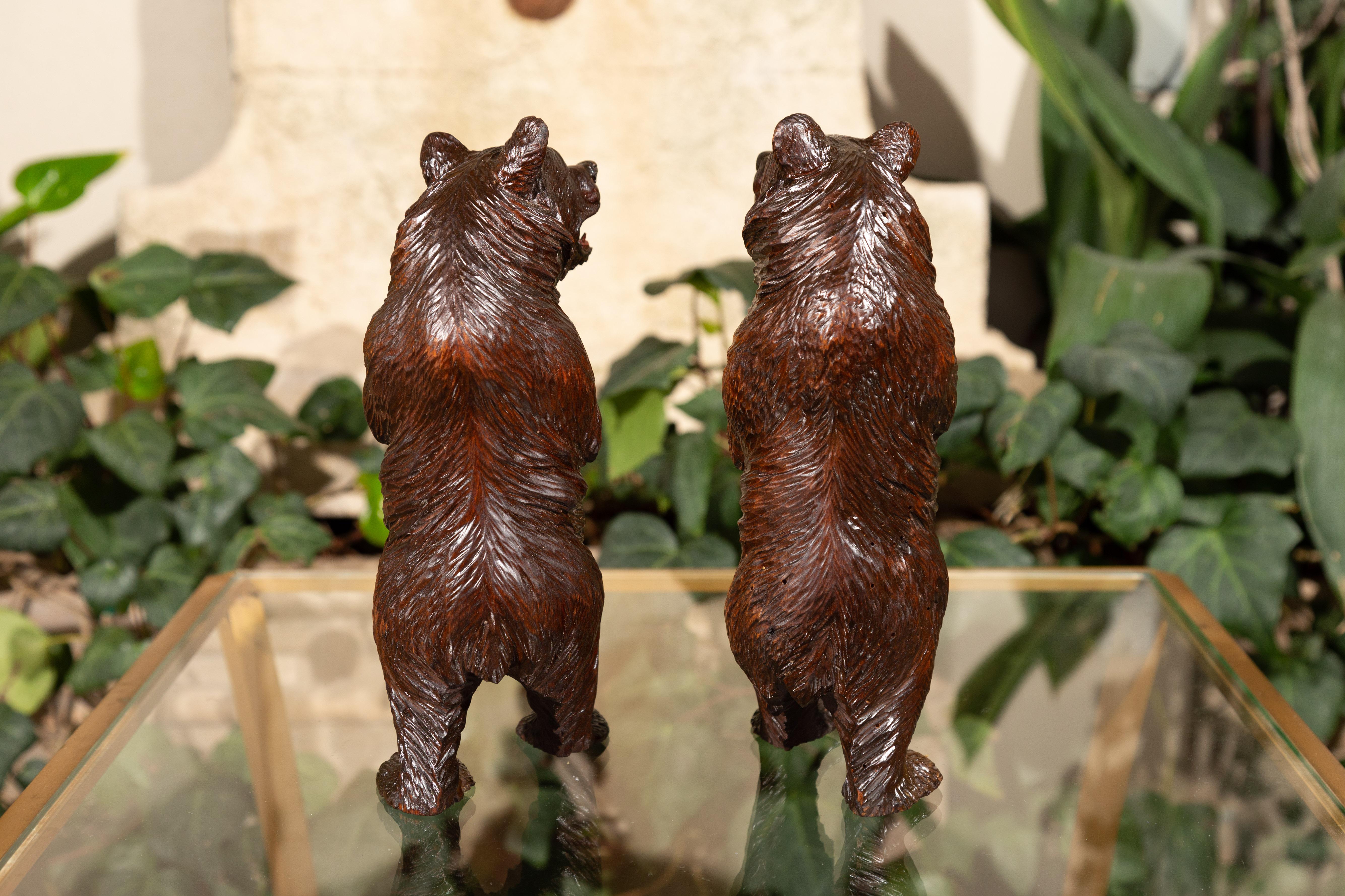 Small Pair of Black Forest Carved Wooden Bears in Standing Position, circa 1900 1