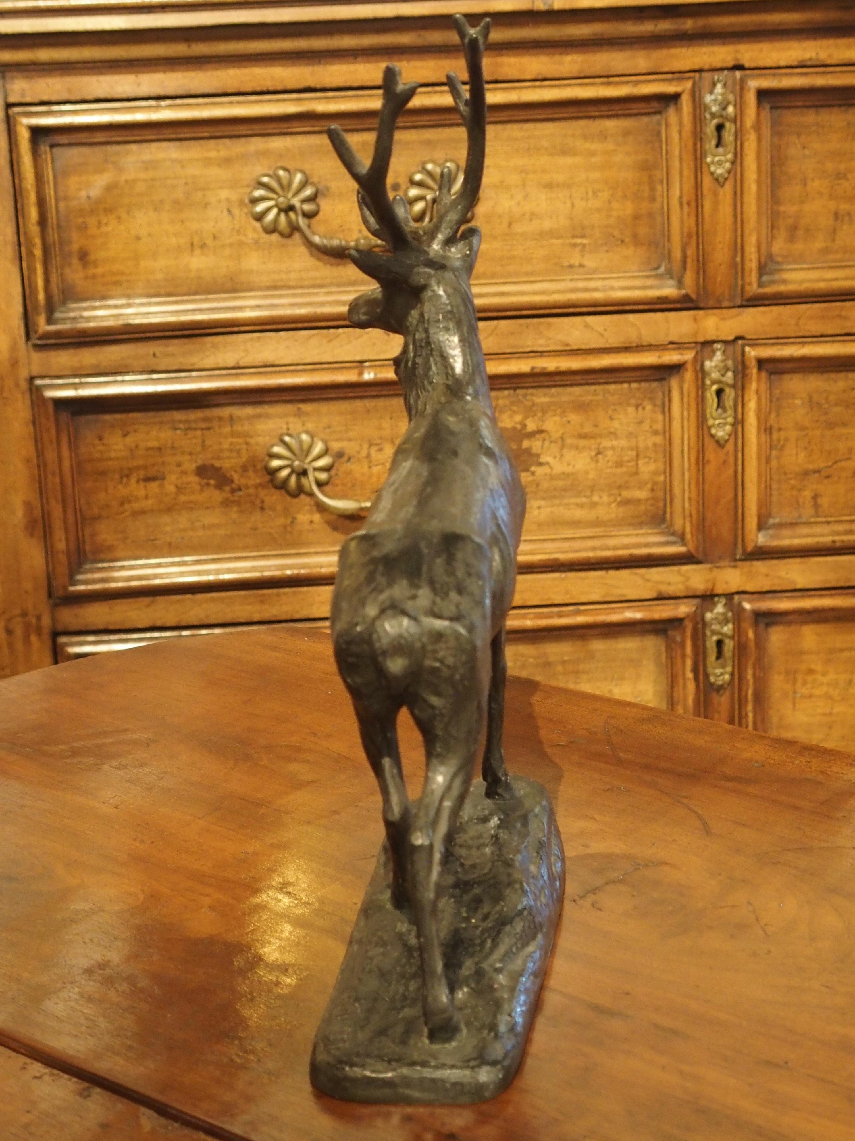 Small Patinated Bronze Statue of a Stag by Gardet, Late 19th Century, France 2
