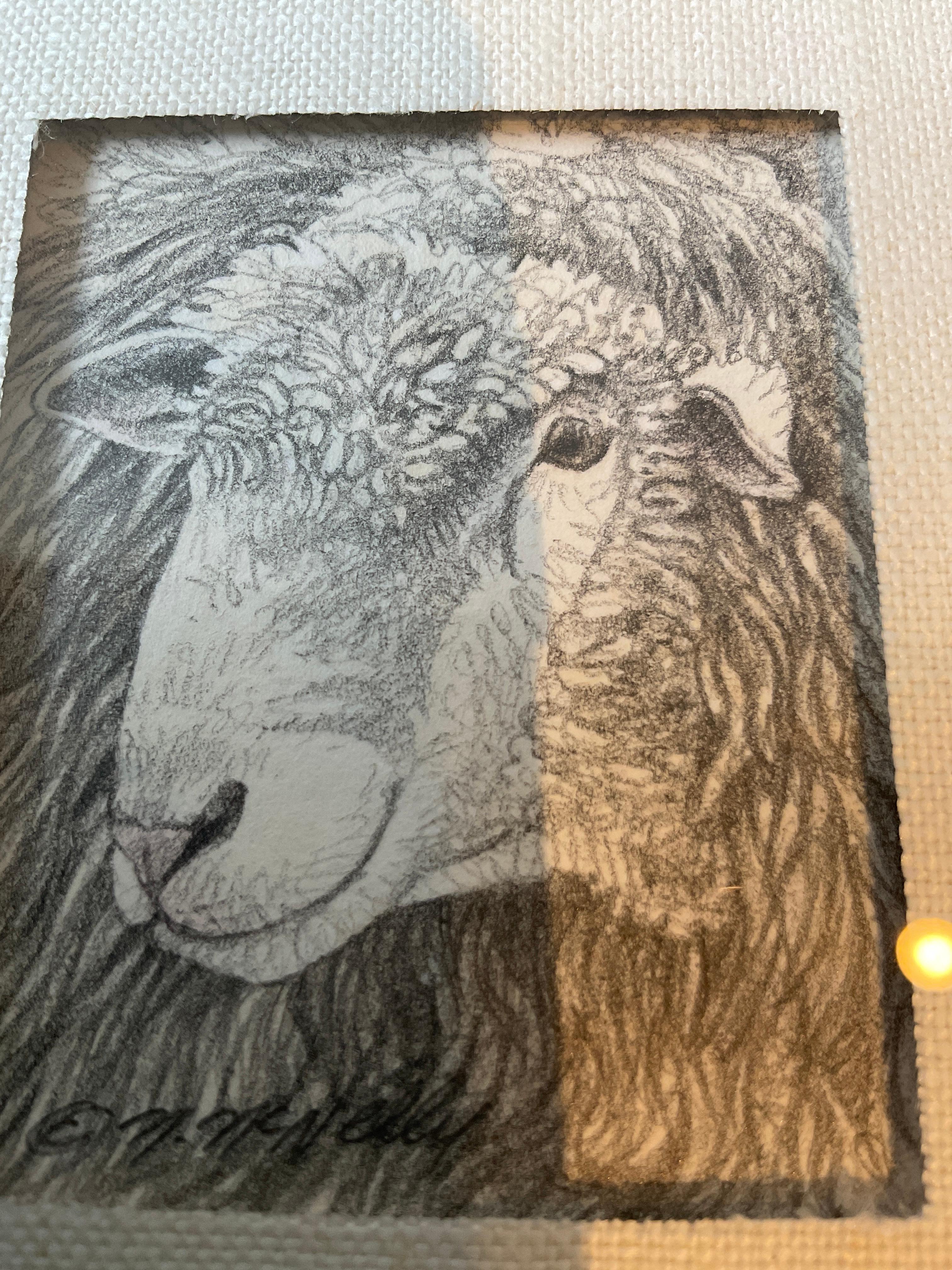 Small Pencil Drawing Of Sheep Signed McNelly In Good Condition In Tarrytown, NY
