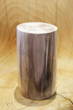 Small Petrified Wood C Column