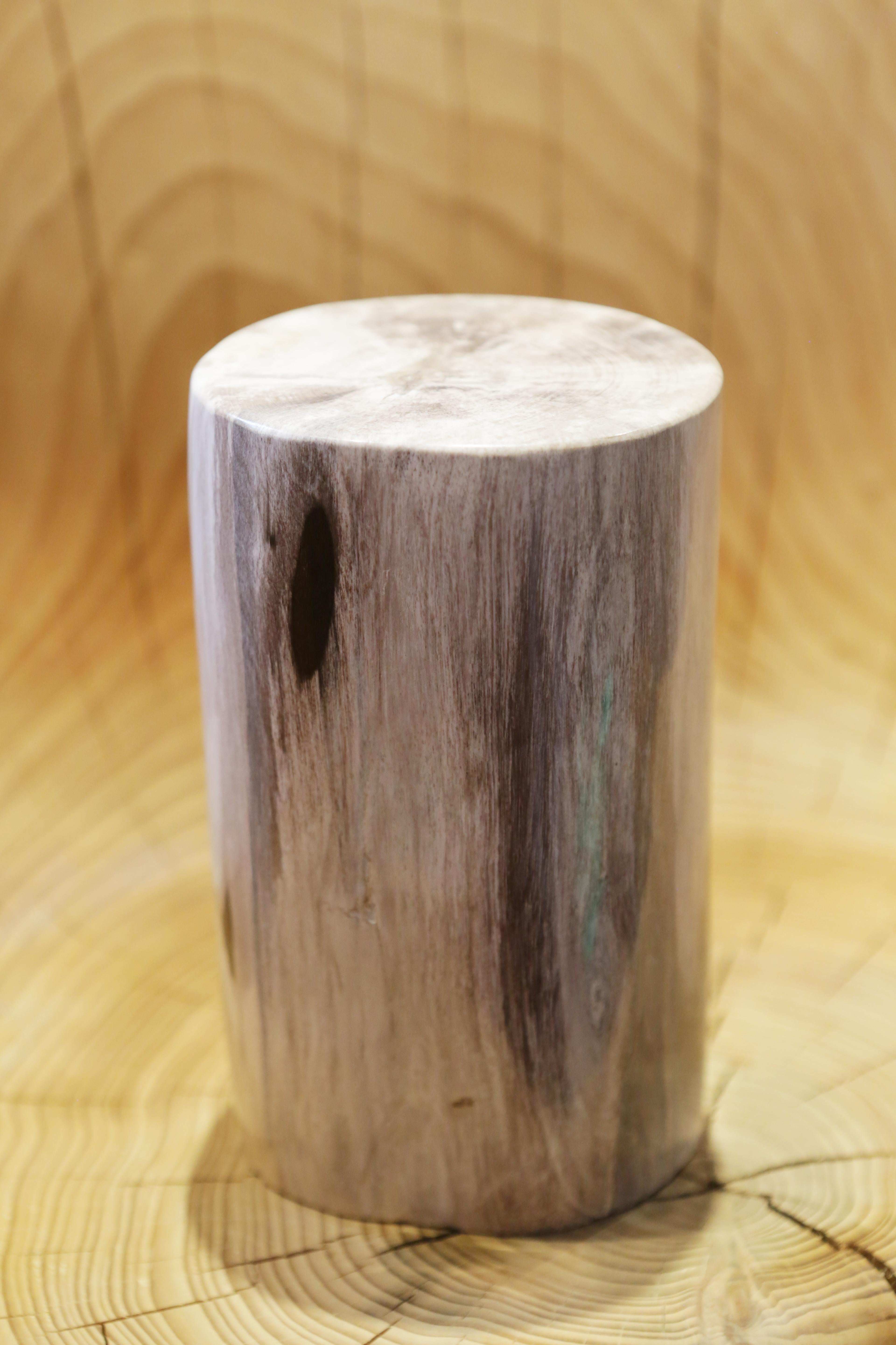 Säule aus versteinertem Holz, C im Zustand „Hervorragend“ im Angebot in Paris, FR