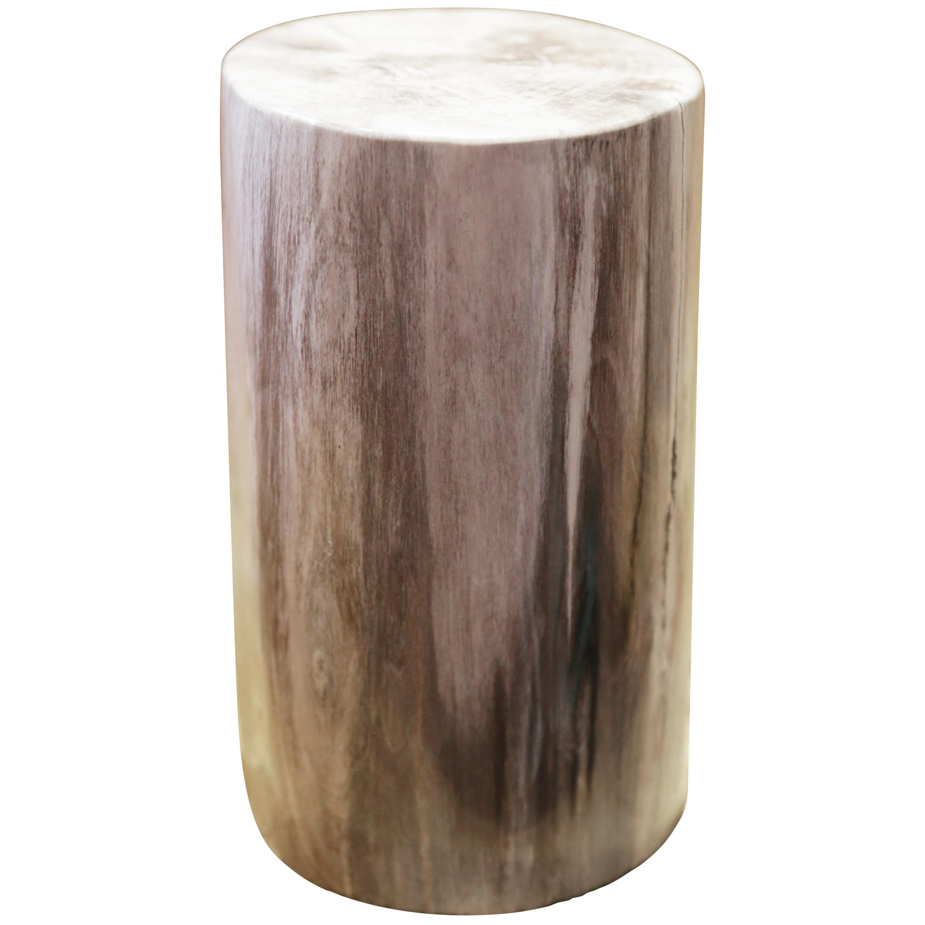 Small Petrified Wood C Column For Sale