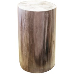 Small Petrified Wood C Column