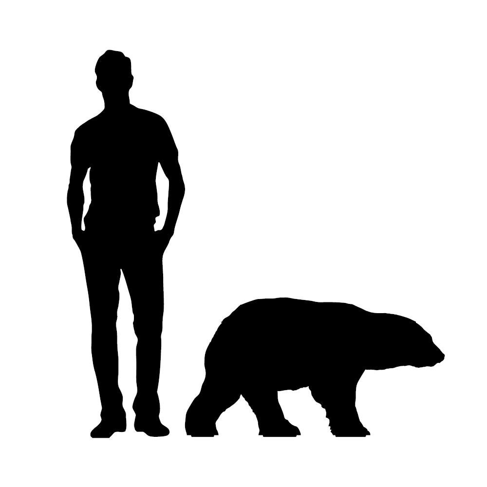 XXI secolo e contemporaneo Piccola libreria con orso polare - Red JUNE in vendita