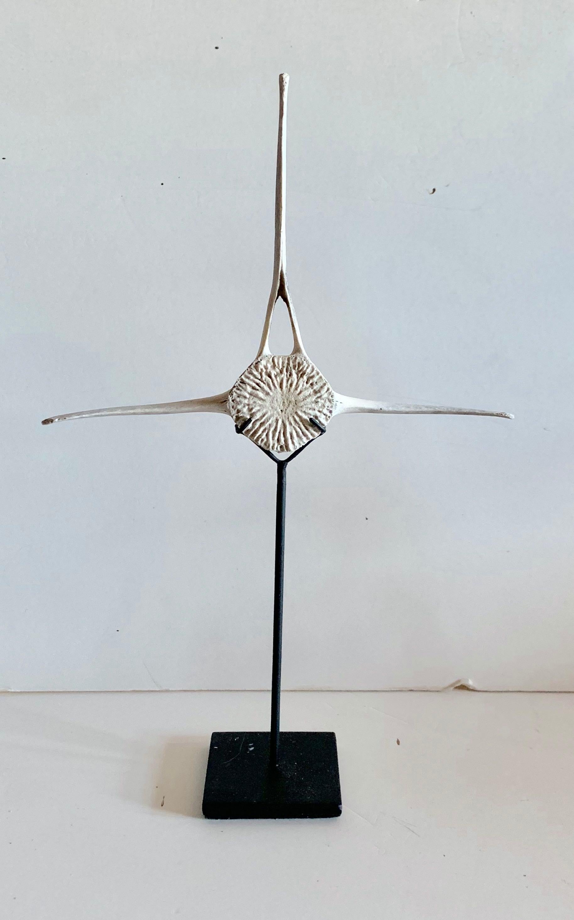 Indonesian Small Porpoise Vertebrae Sculpture, Indonesia, Late 20th Century