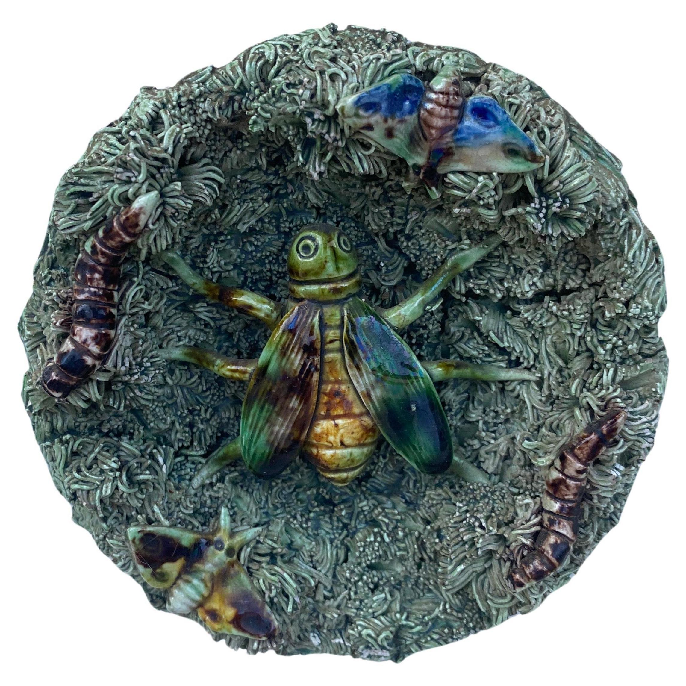 Small Portuguese Majolica Palissy Wall Fly Platter Jose A. Cunha For Sale