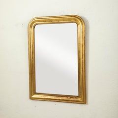 Small Scale Mid-19th Century French Louis Philippe Period Gilt Wood Mirror