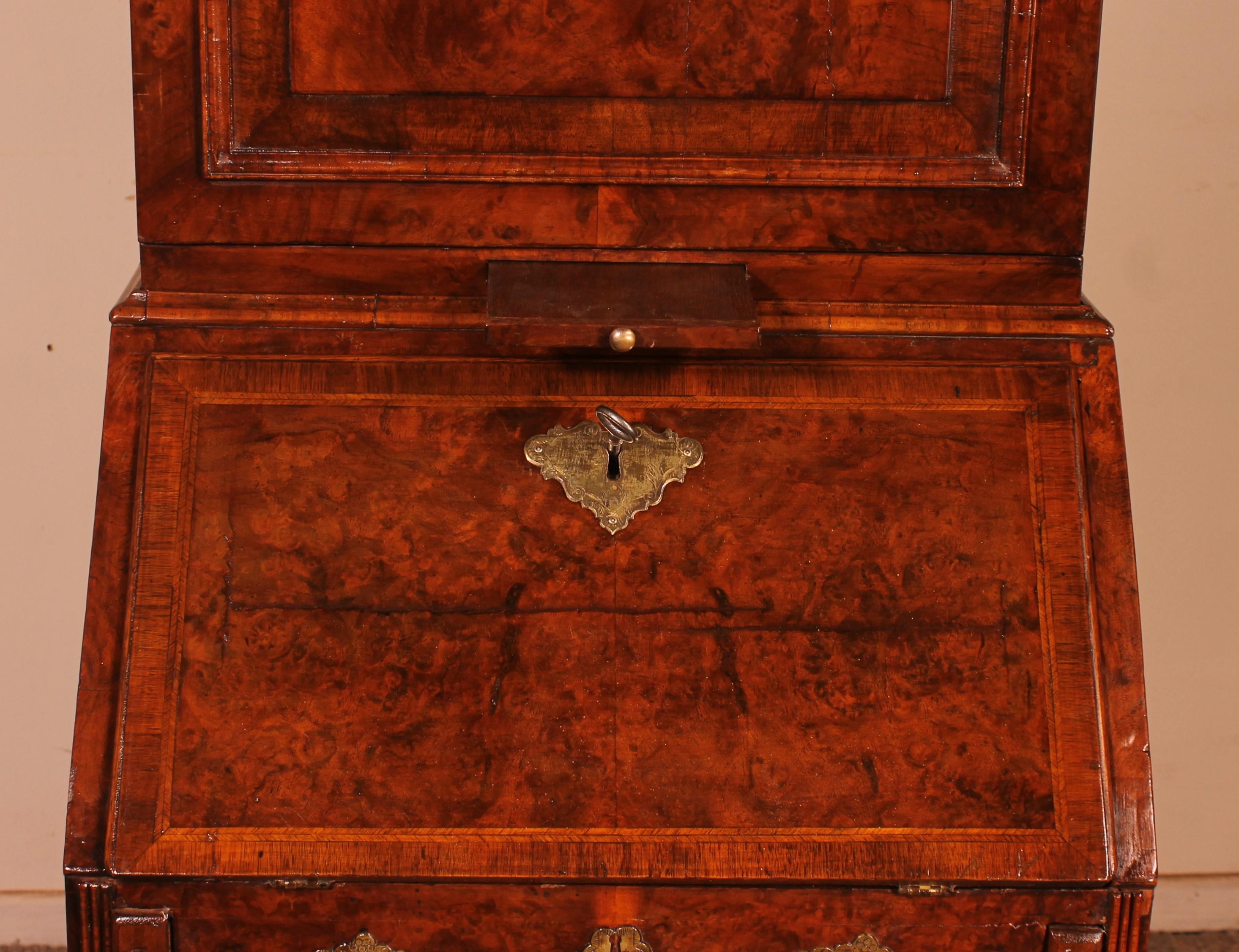 18th Century and Earlier Small Secretary or Cabinet in Burl Walnut with Dome, 18 ° Century For Sale