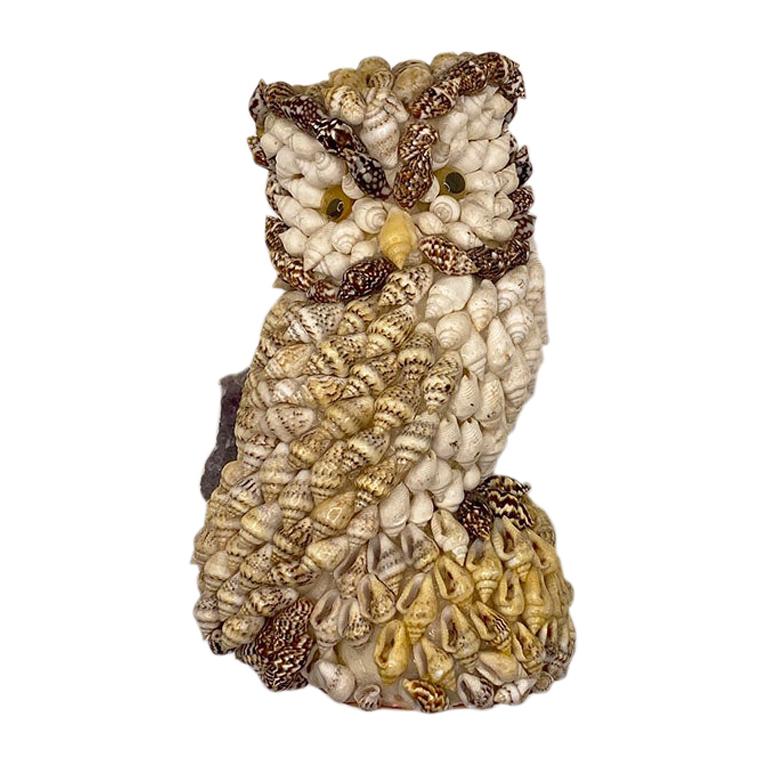 Small Shell Encrusted Owl, Philippines For Sale