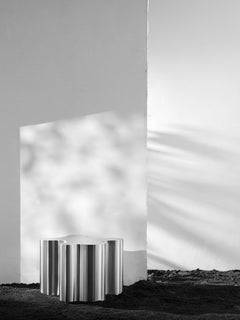 Small Silver Root Coffee Table by Caia Leifsdotter