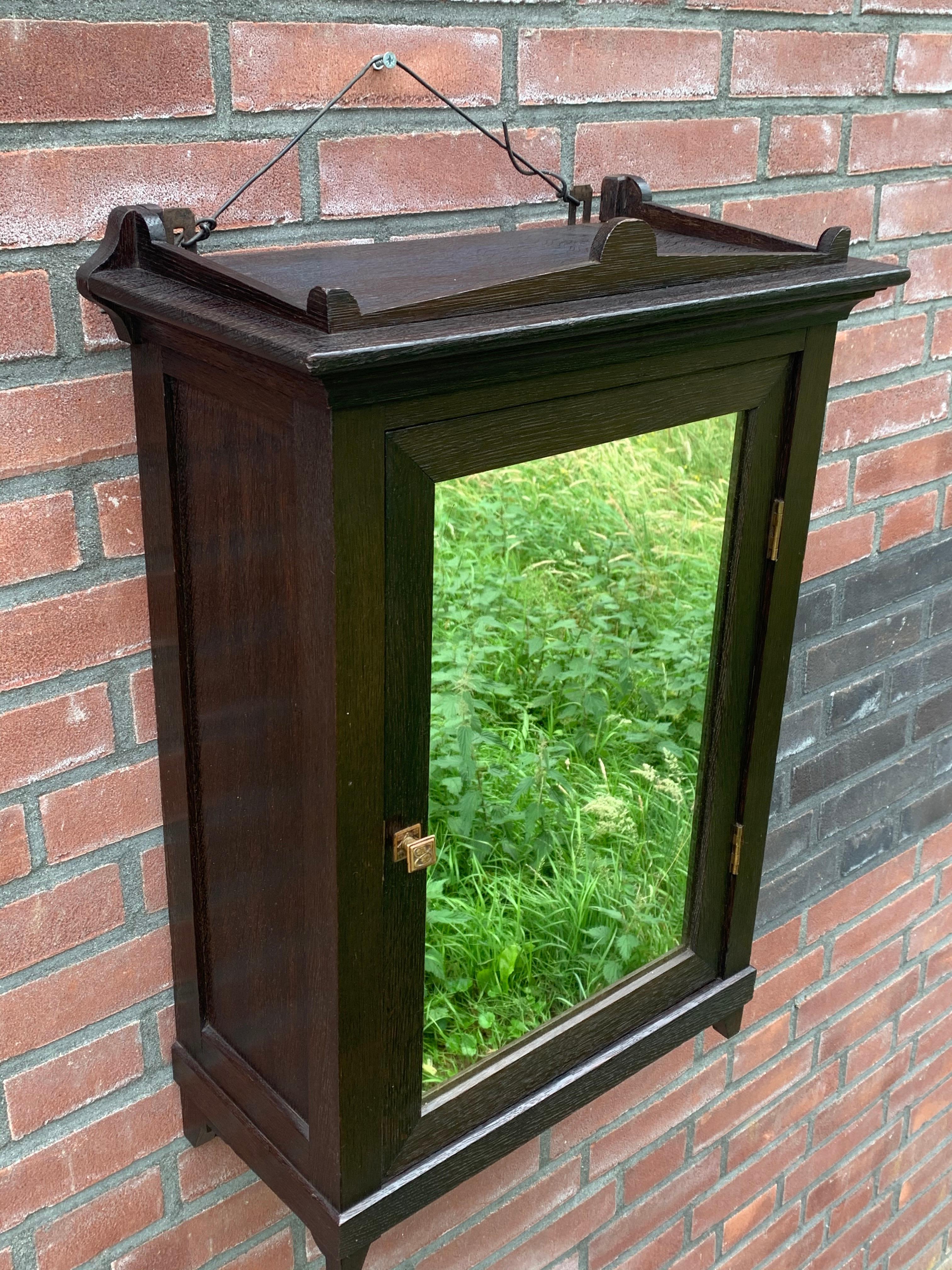 Small Size Arts & Crafts Museum Quality Dark Oak Wall Cabinet with Door Mirror 8